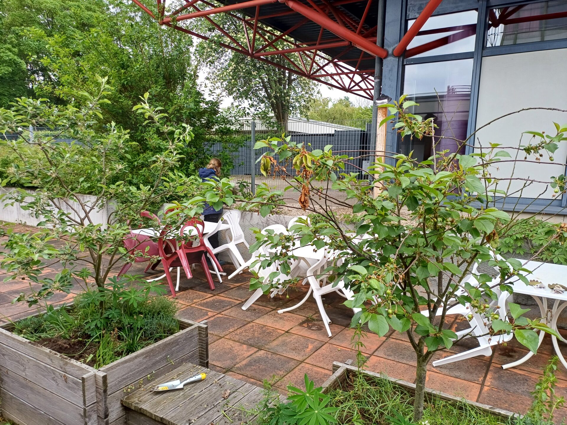 Urban Gardening