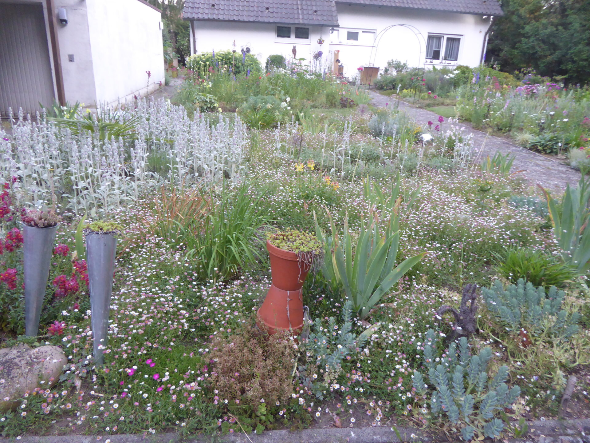 Rasen weg – Blumen her