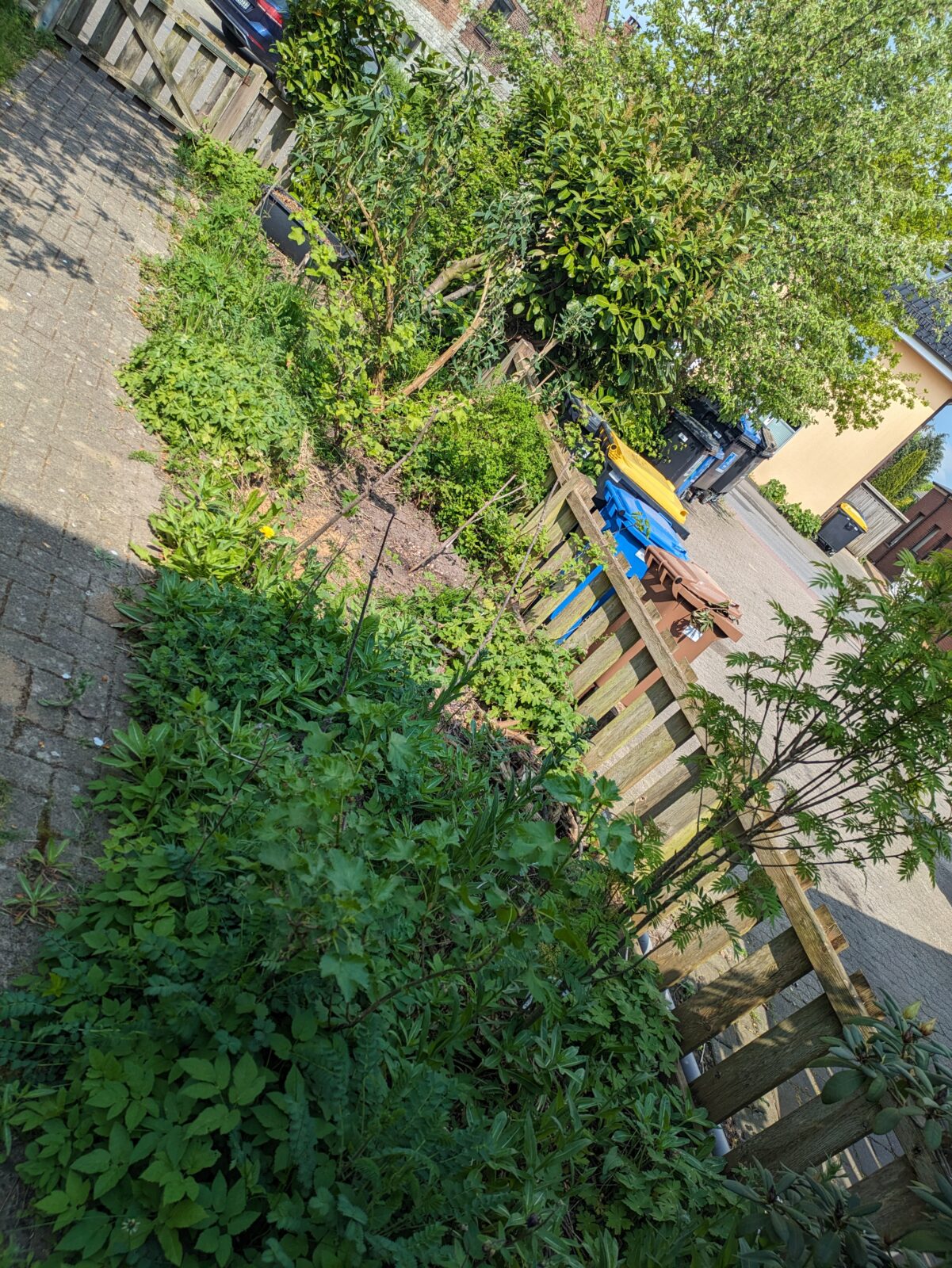 Vom Bienenfeind zum Beeren-Knick