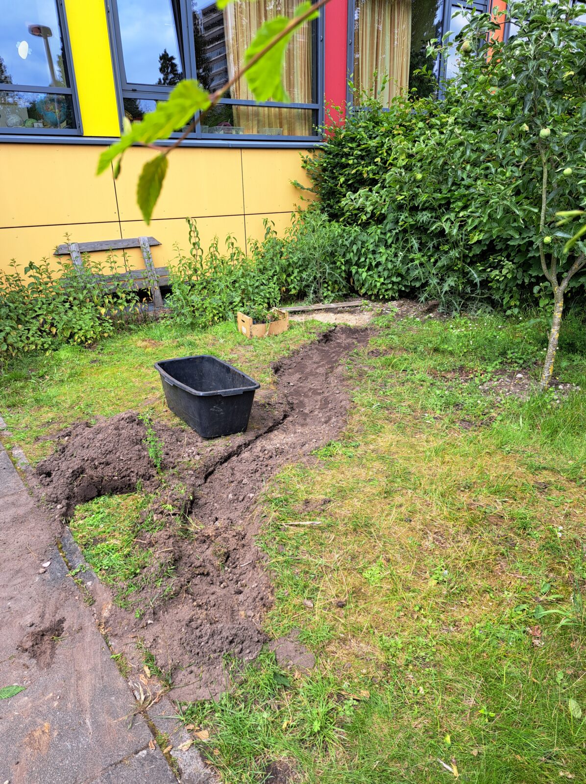 Barfußpfad und Wildbienen