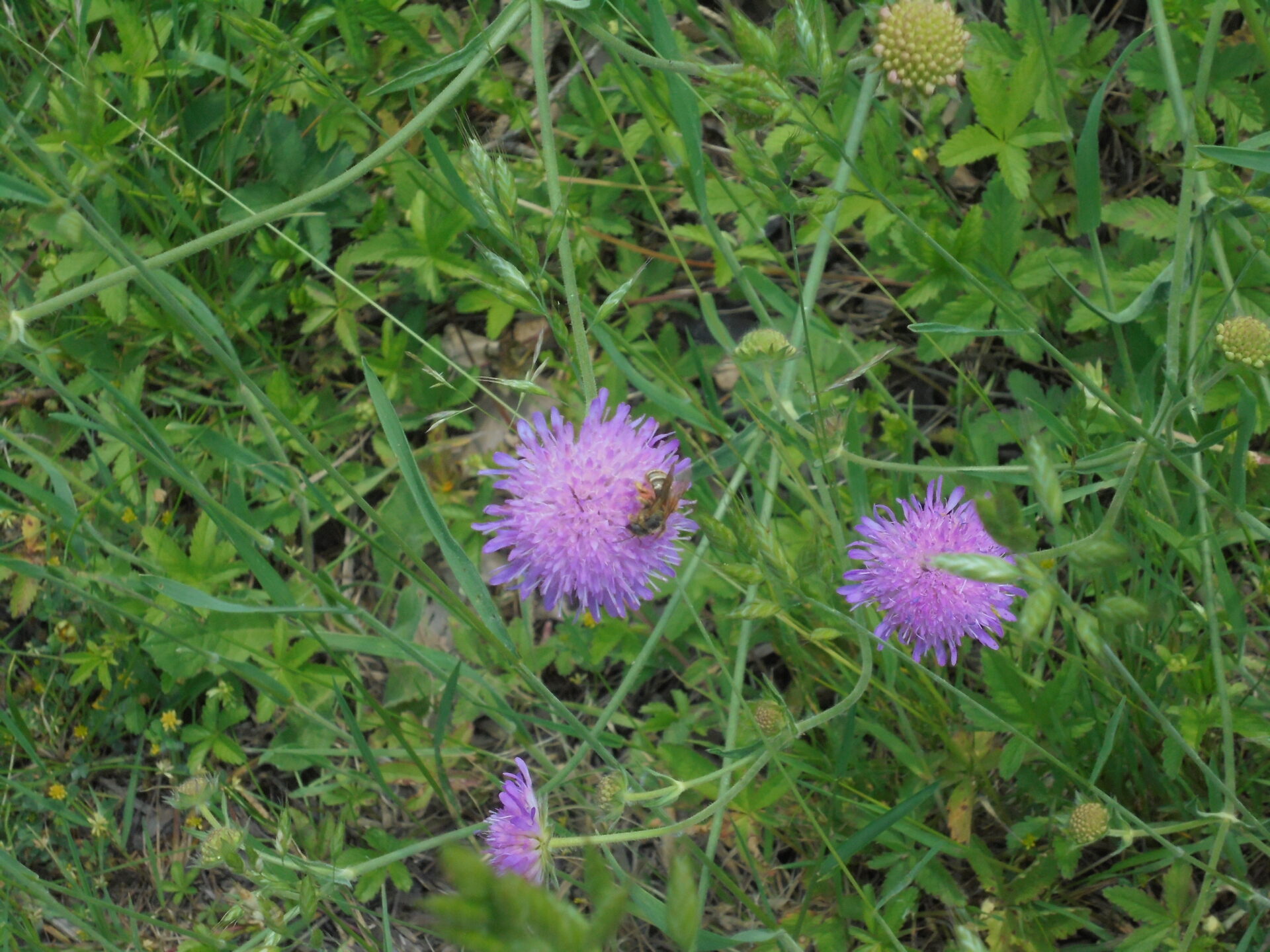 Natur?Wunder!