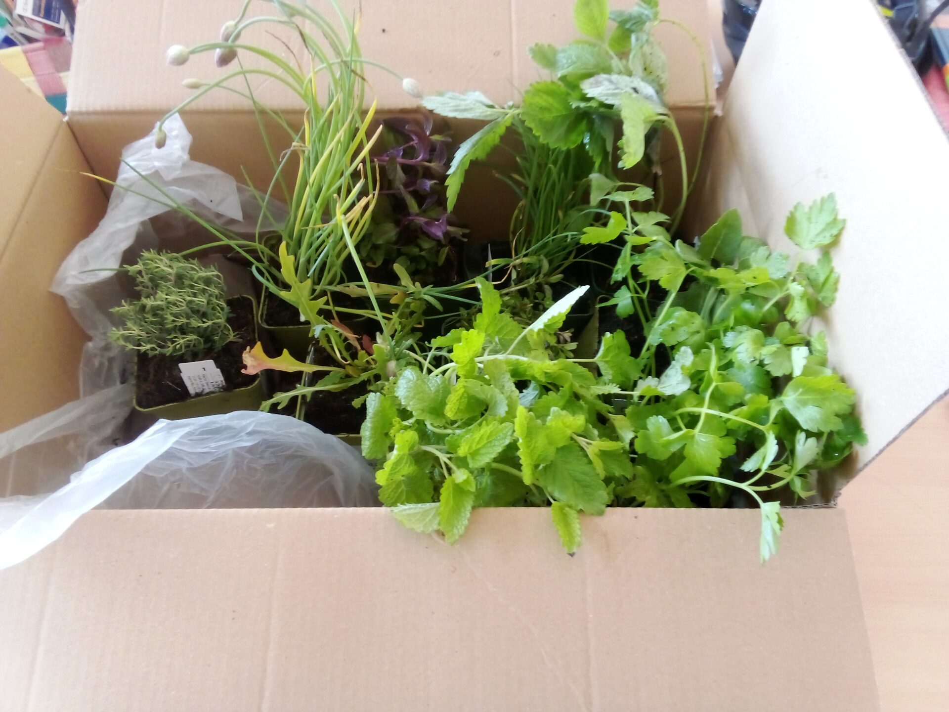 Gartenarbeiten!