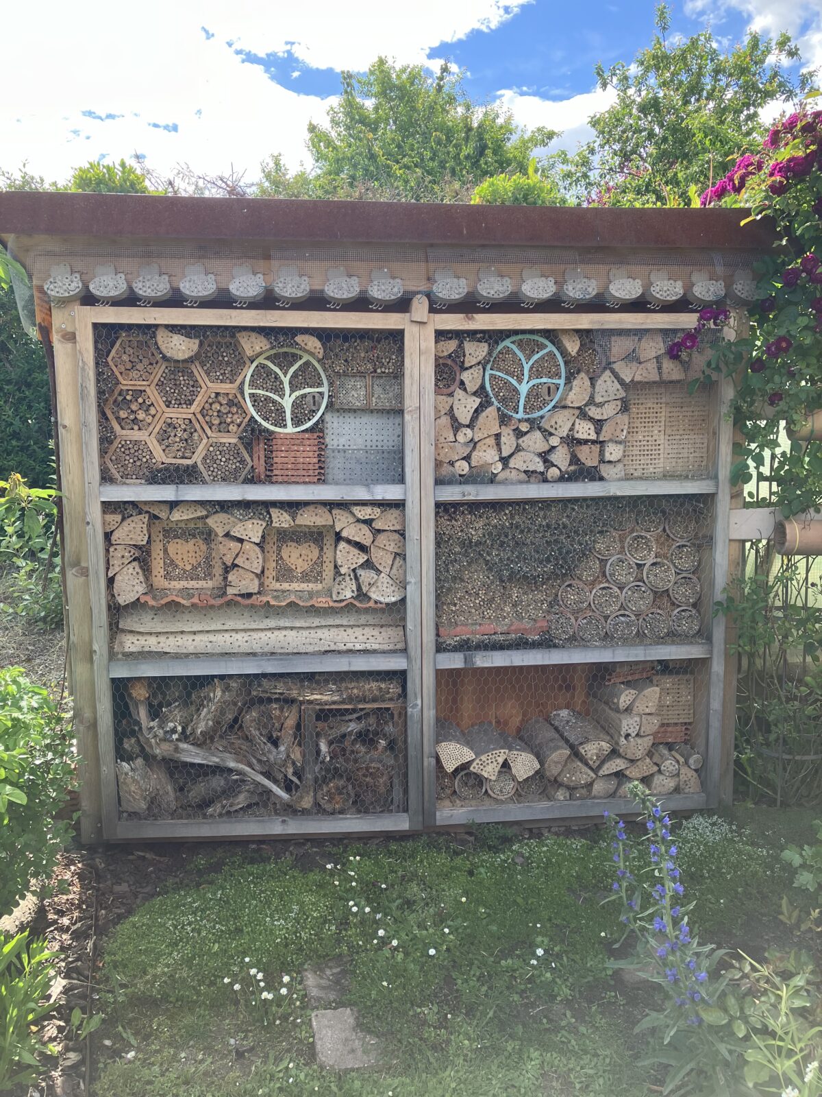 Hildes Insektengarten Jungnau