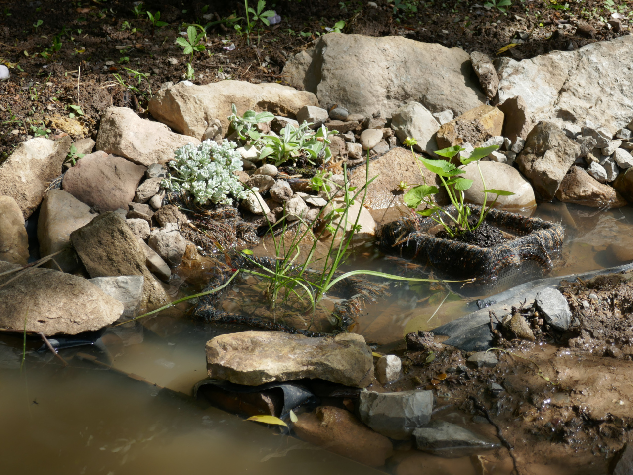 Wasserwelt