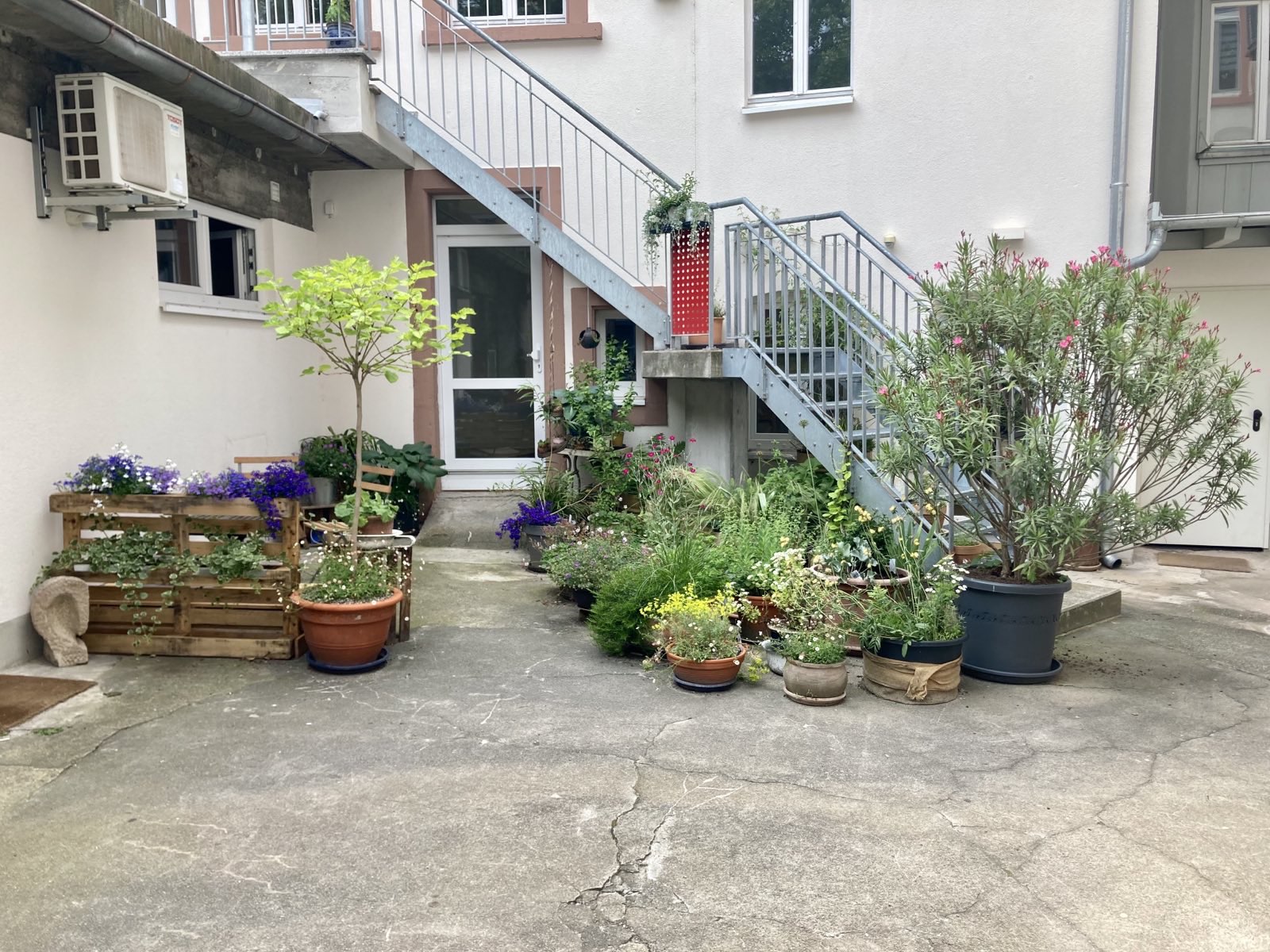 Innenhofbegrünung bei der Jugendberatung Freiburg e.V.