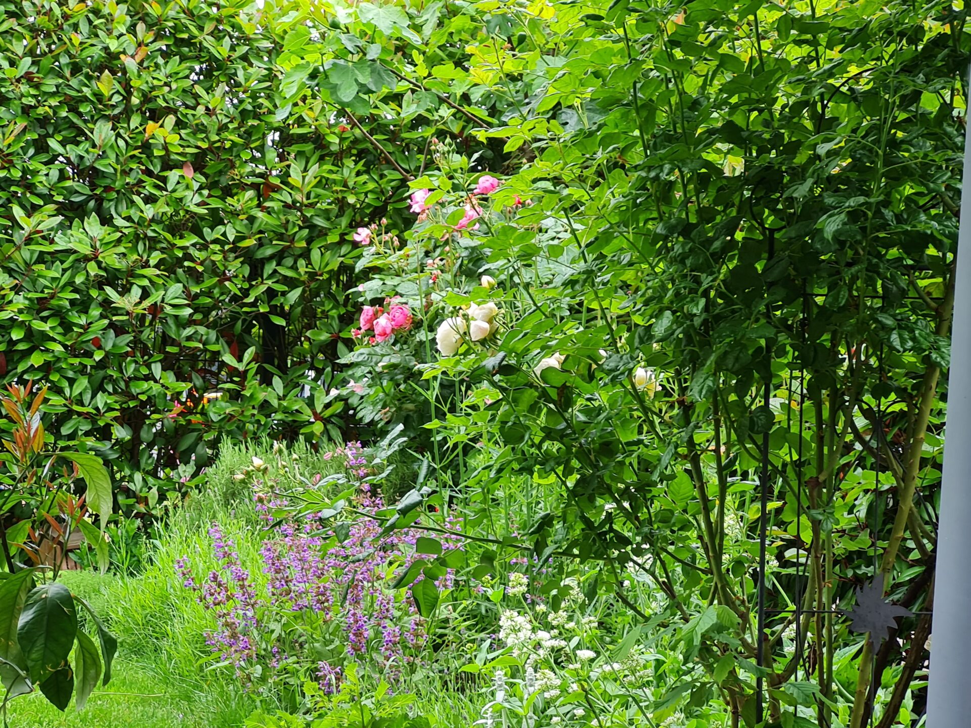 Roof Pot Garten