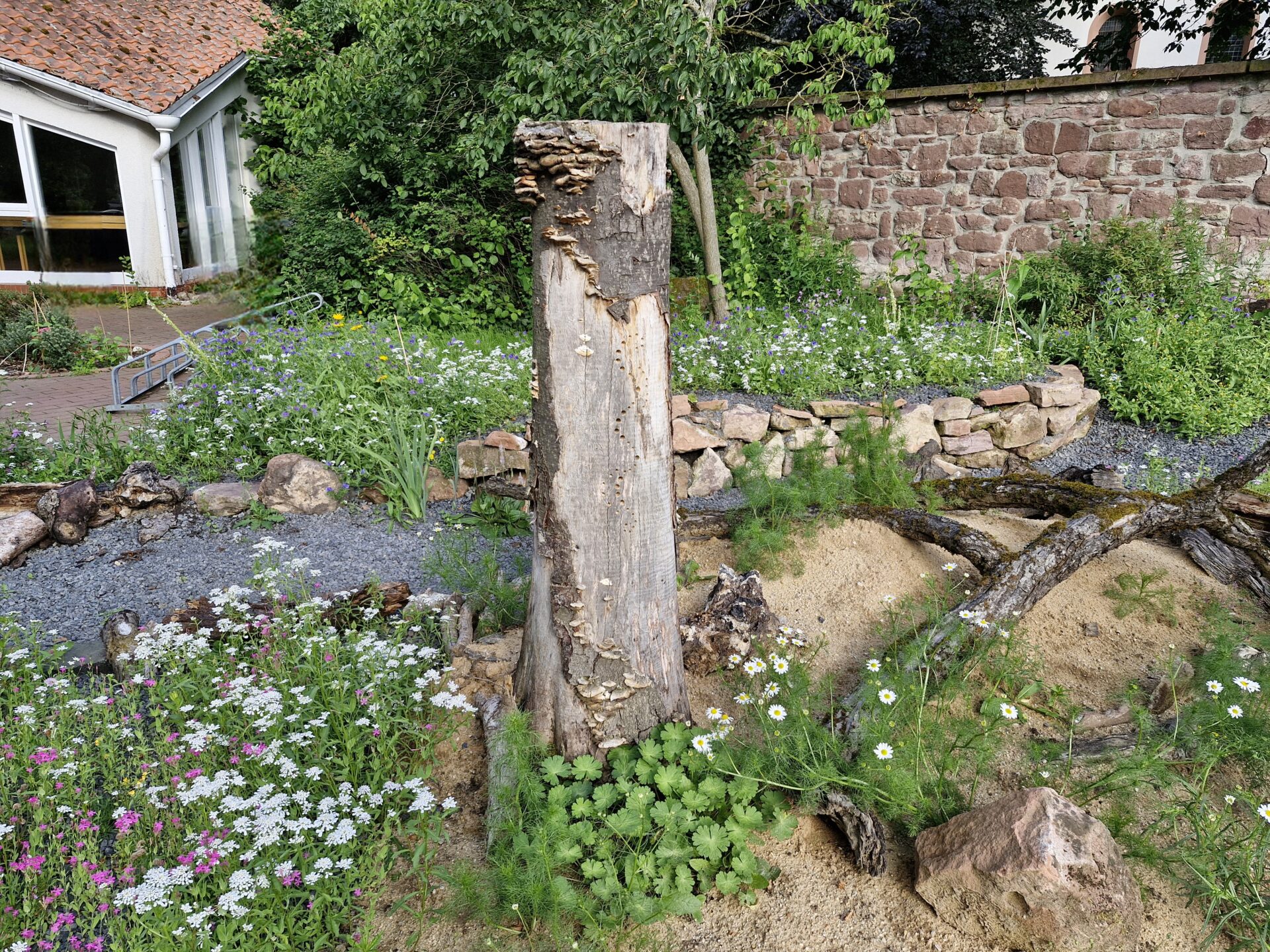 Vielfältiges Wildstaudenbeet