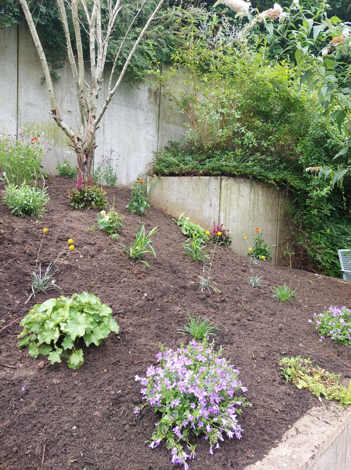 „Unsere kleine Farm“