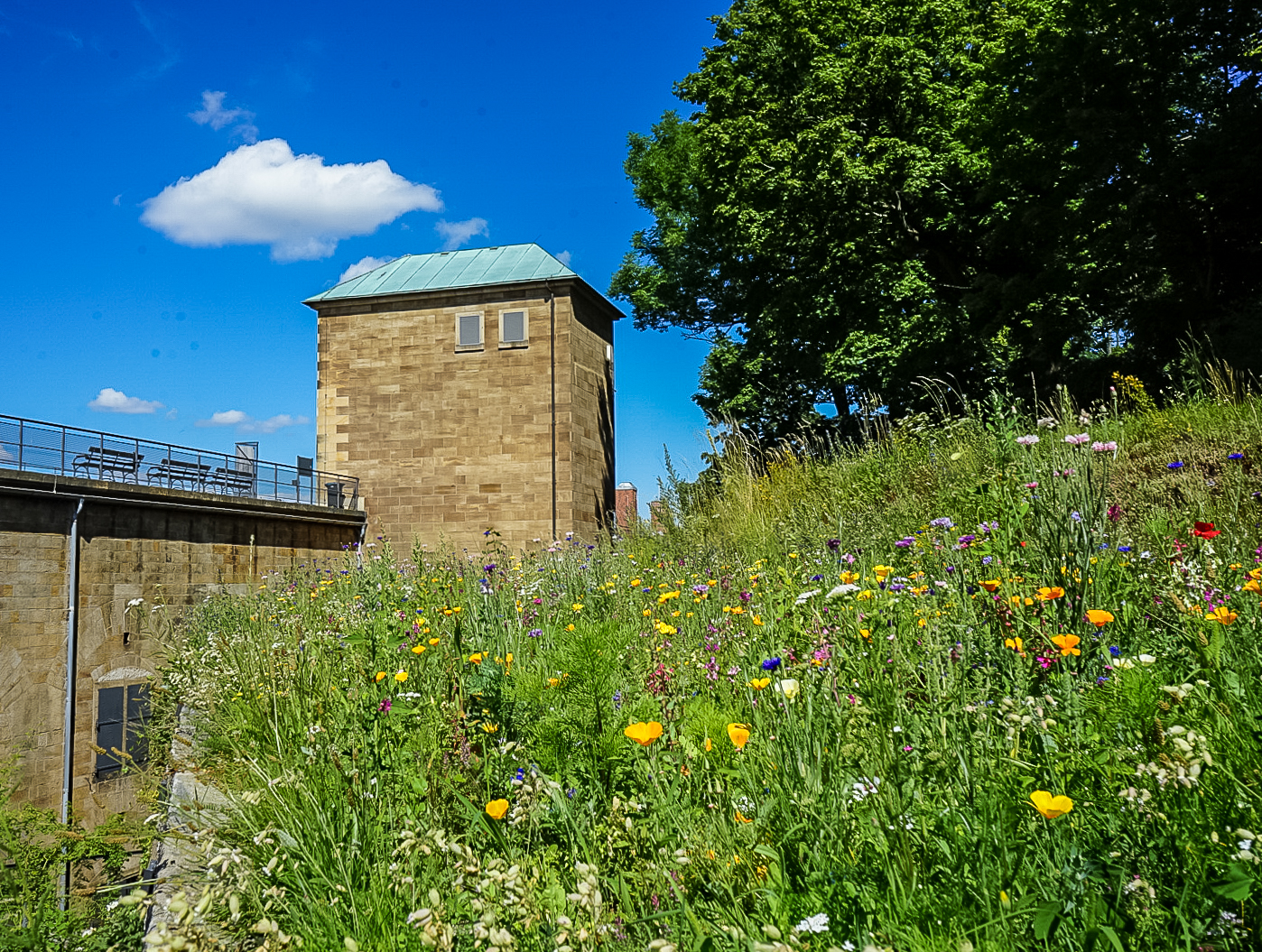 Eine große Festung für kleine Bienen