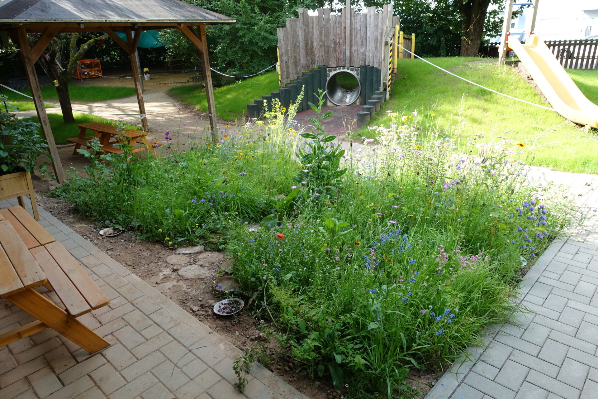 Nach dem Hochwasser ist vor dem Blumenmeer