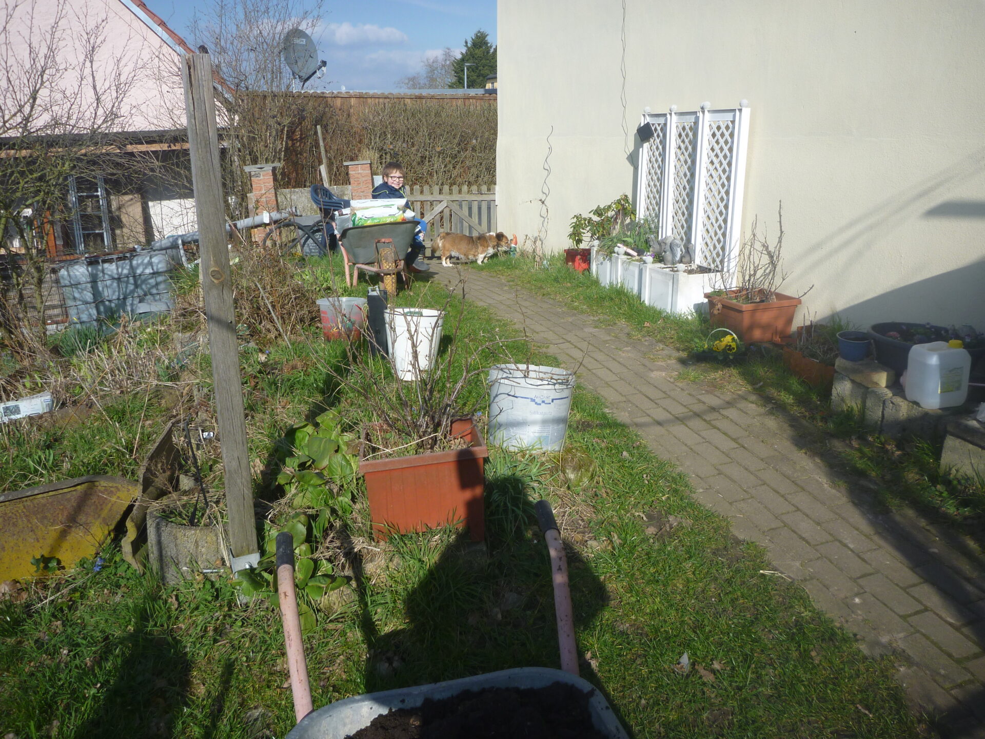 den Vorgarten für die schwache Oma etwas aufgepeppt