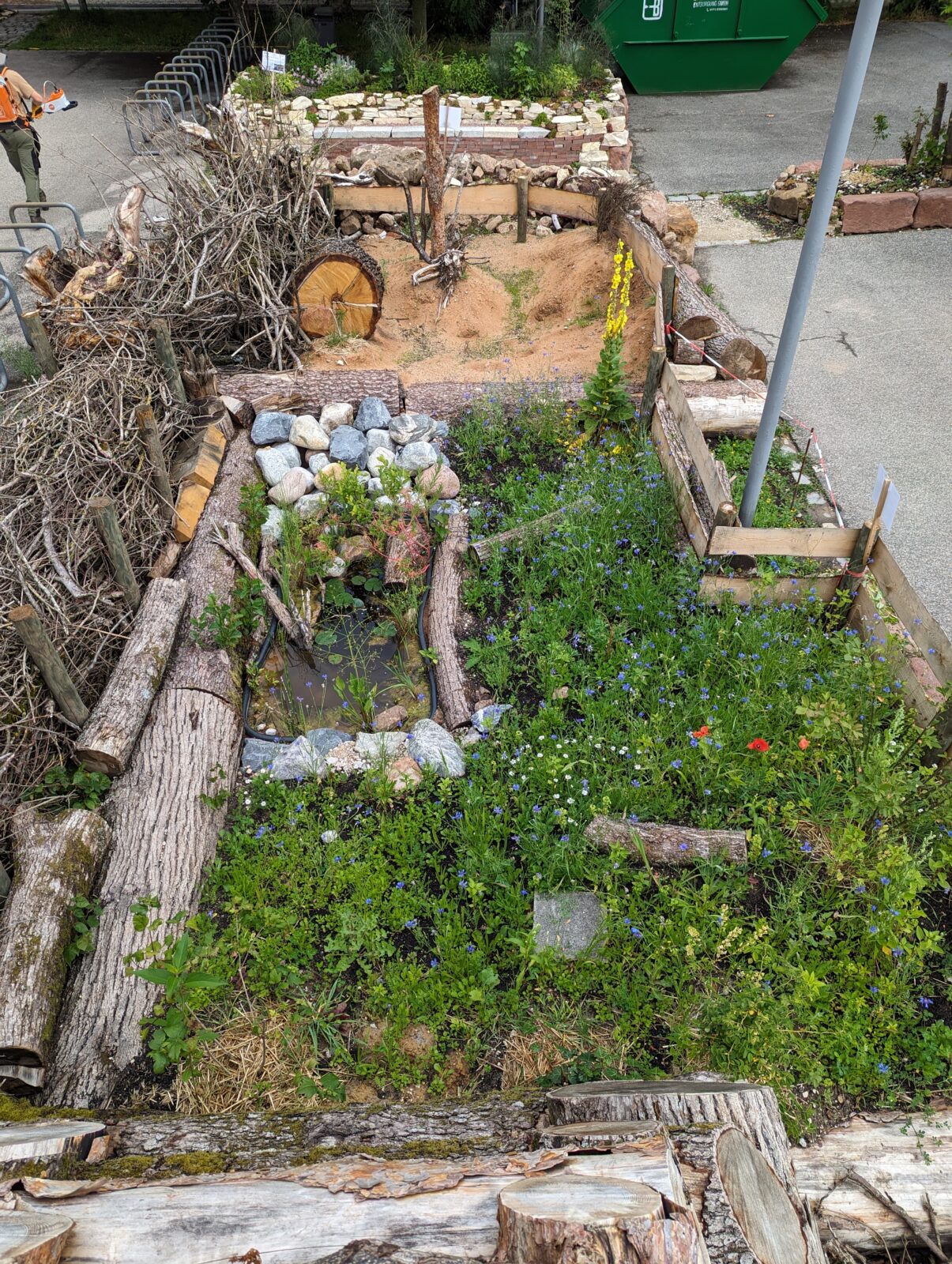 WiSo Oase? Gemeinsam für eine biodiverse und klimaresiliente Stadt!