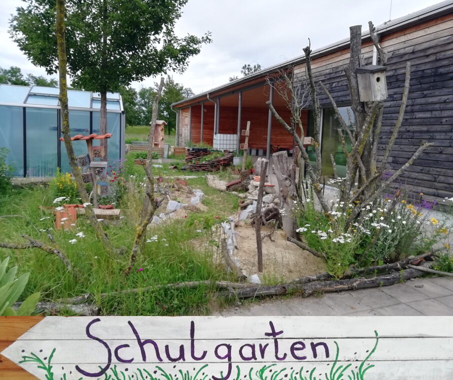 Wildbienen in der Klimaschule