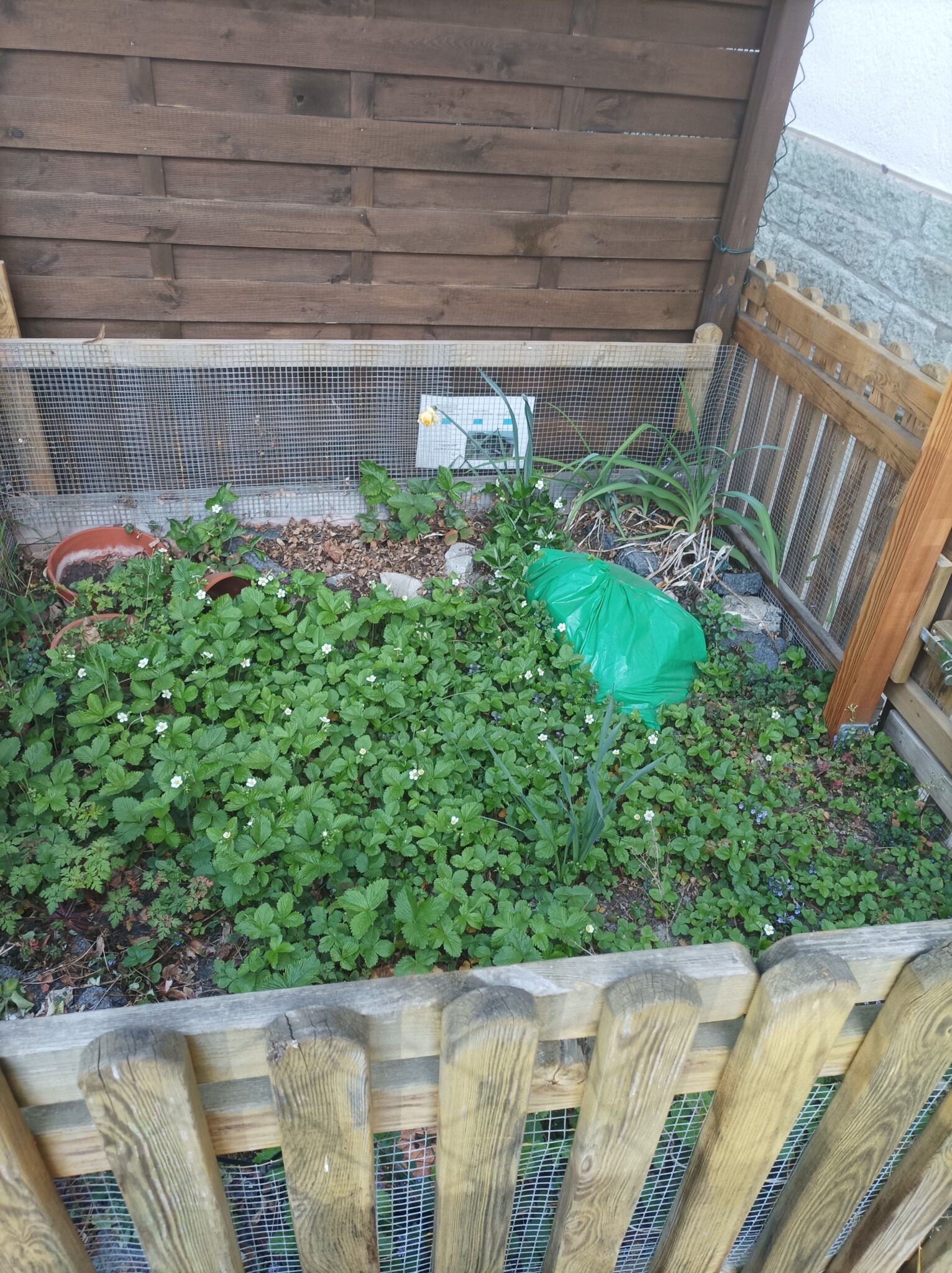 Bienenfreunde in der Stadt-KiTa