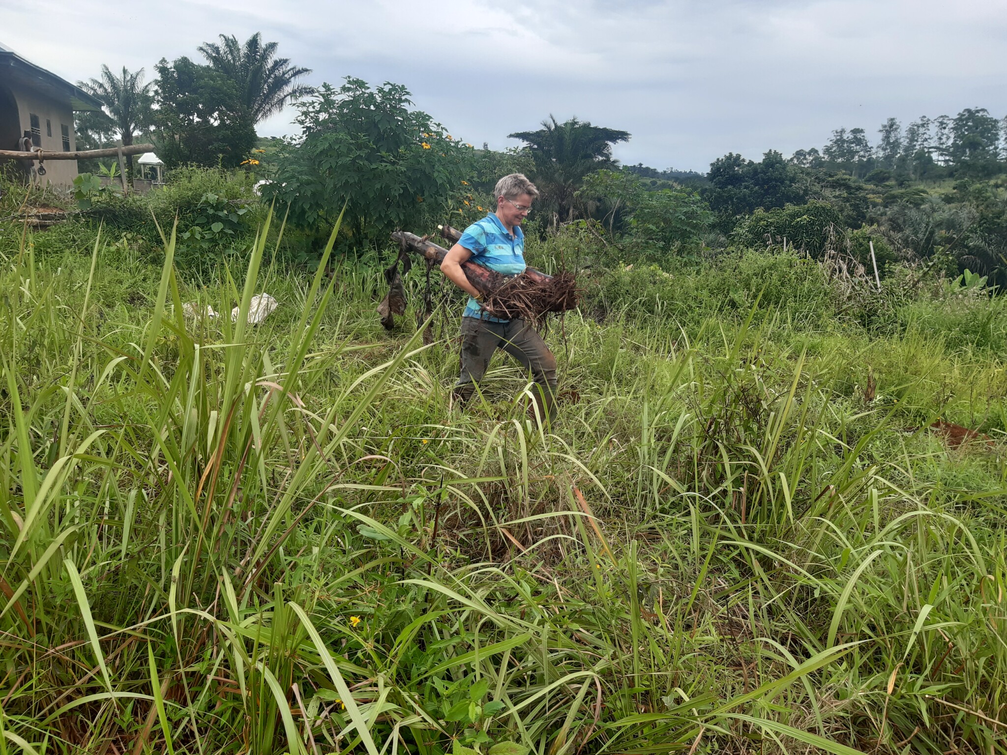 Von Carport-Einöde zu Trockenhügel-Wildnis