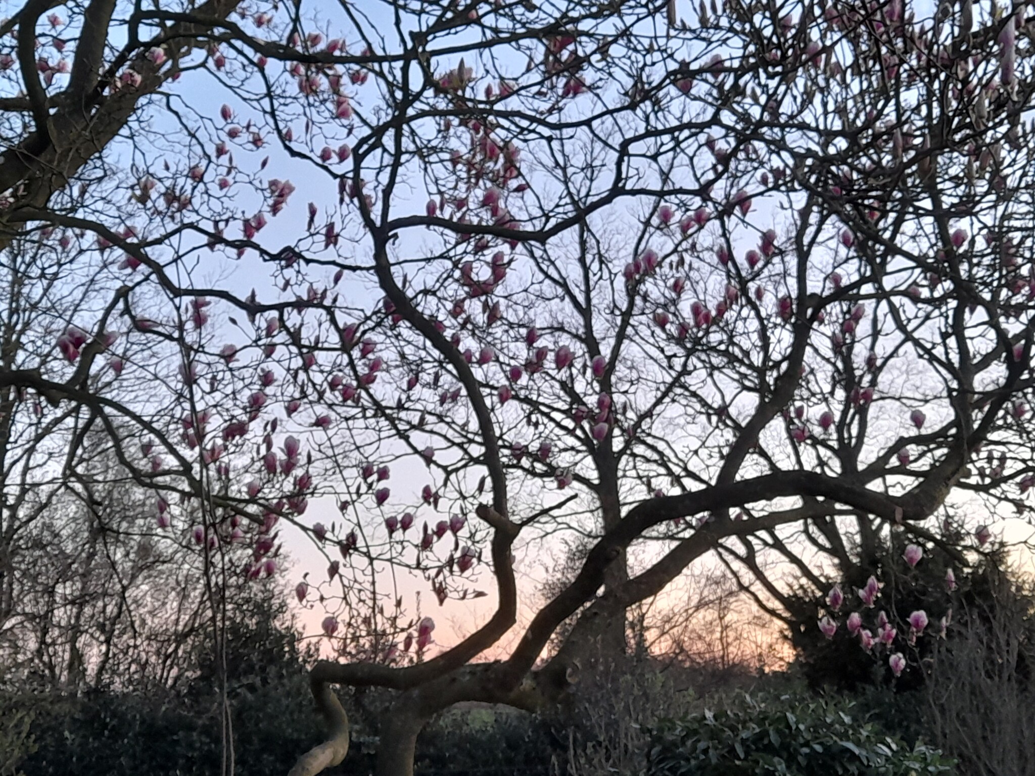 Wohngruppen-Gärtner