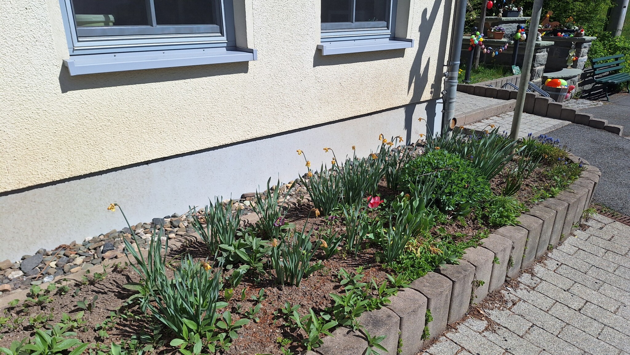 Unere Biene ham hunger