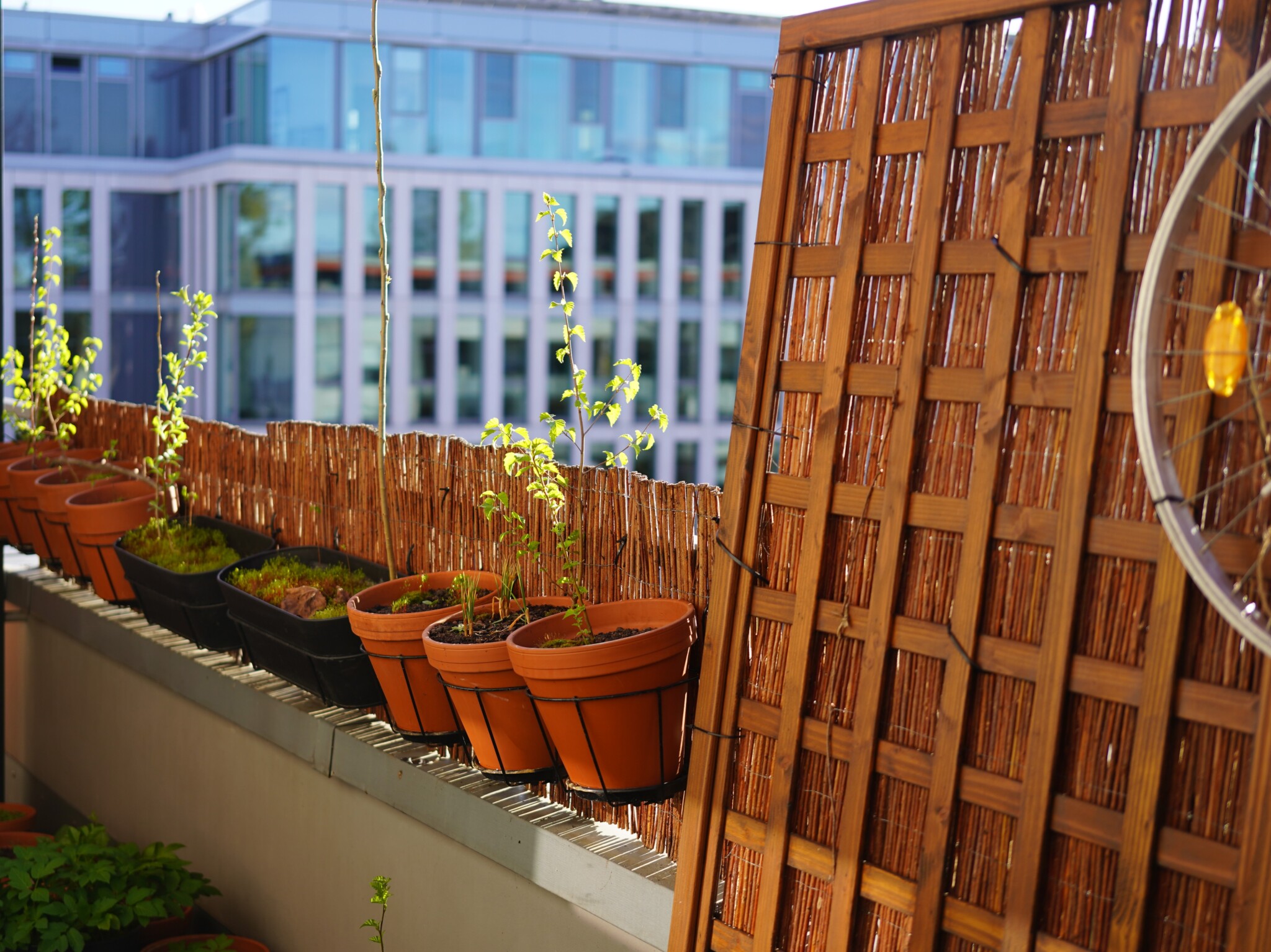 Mein minimalistischer Naturbalkon