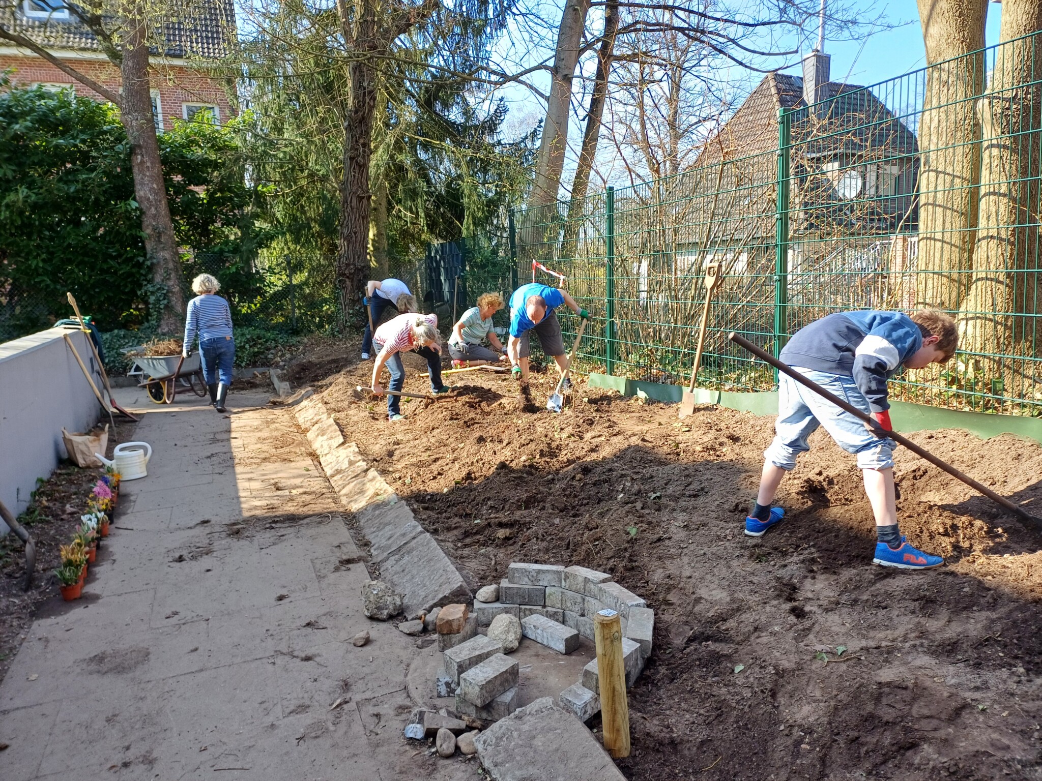 Efeugestrüpp wird blühender Lebensraum