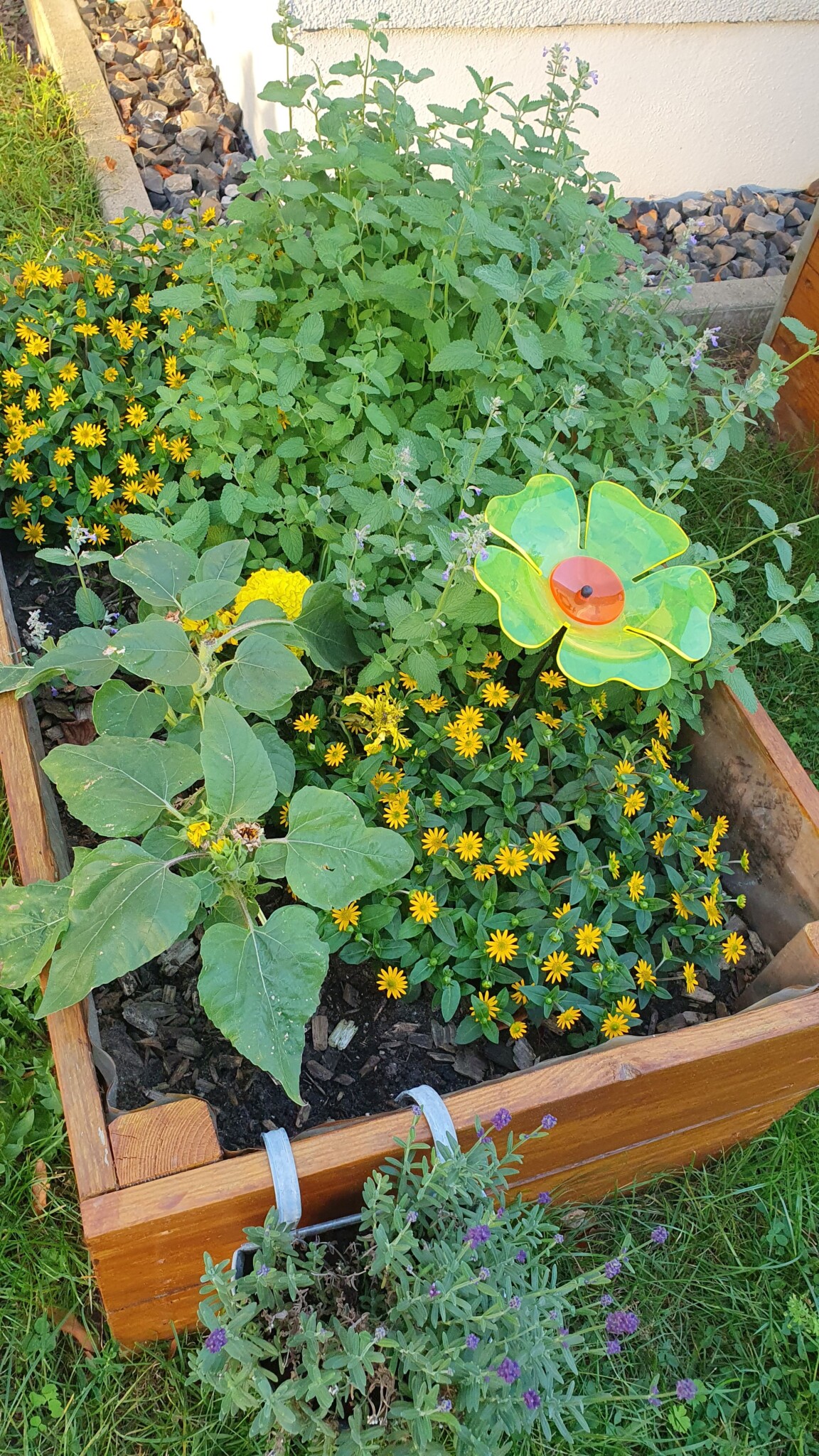 Hochbeete summen lassen