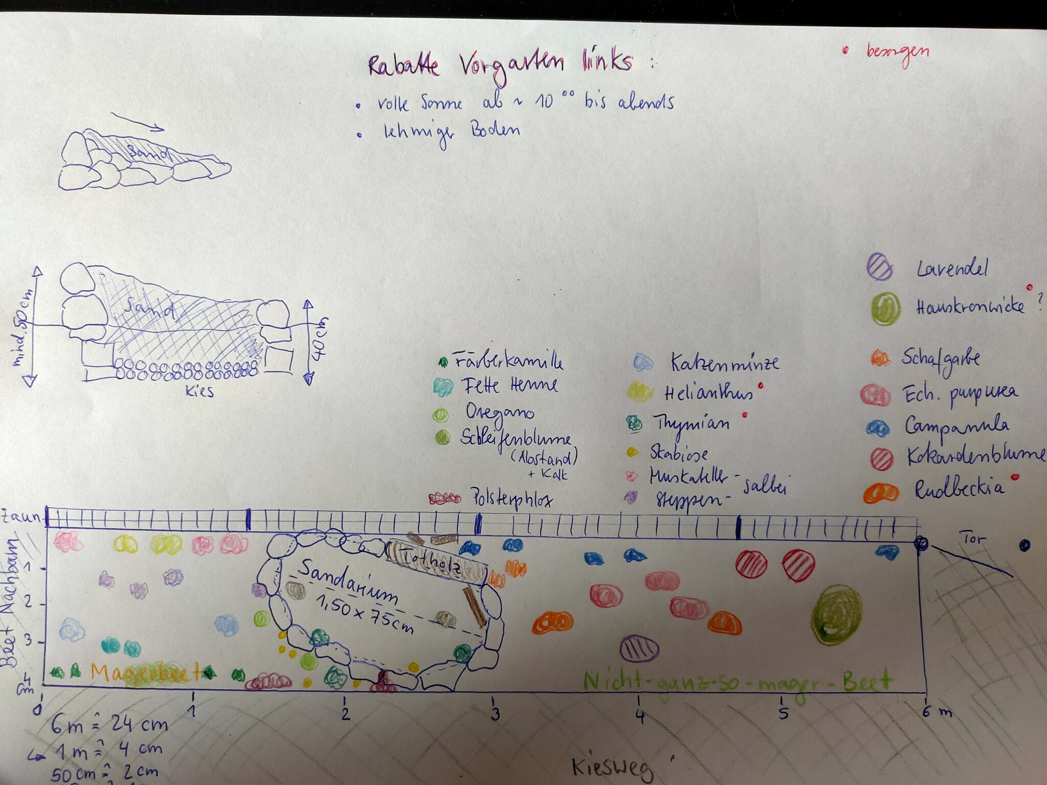 Den Vorgarten einer Kleingartenparzelle in einen (Wild)Bienenfreundlichen Lebensraum umwandeln