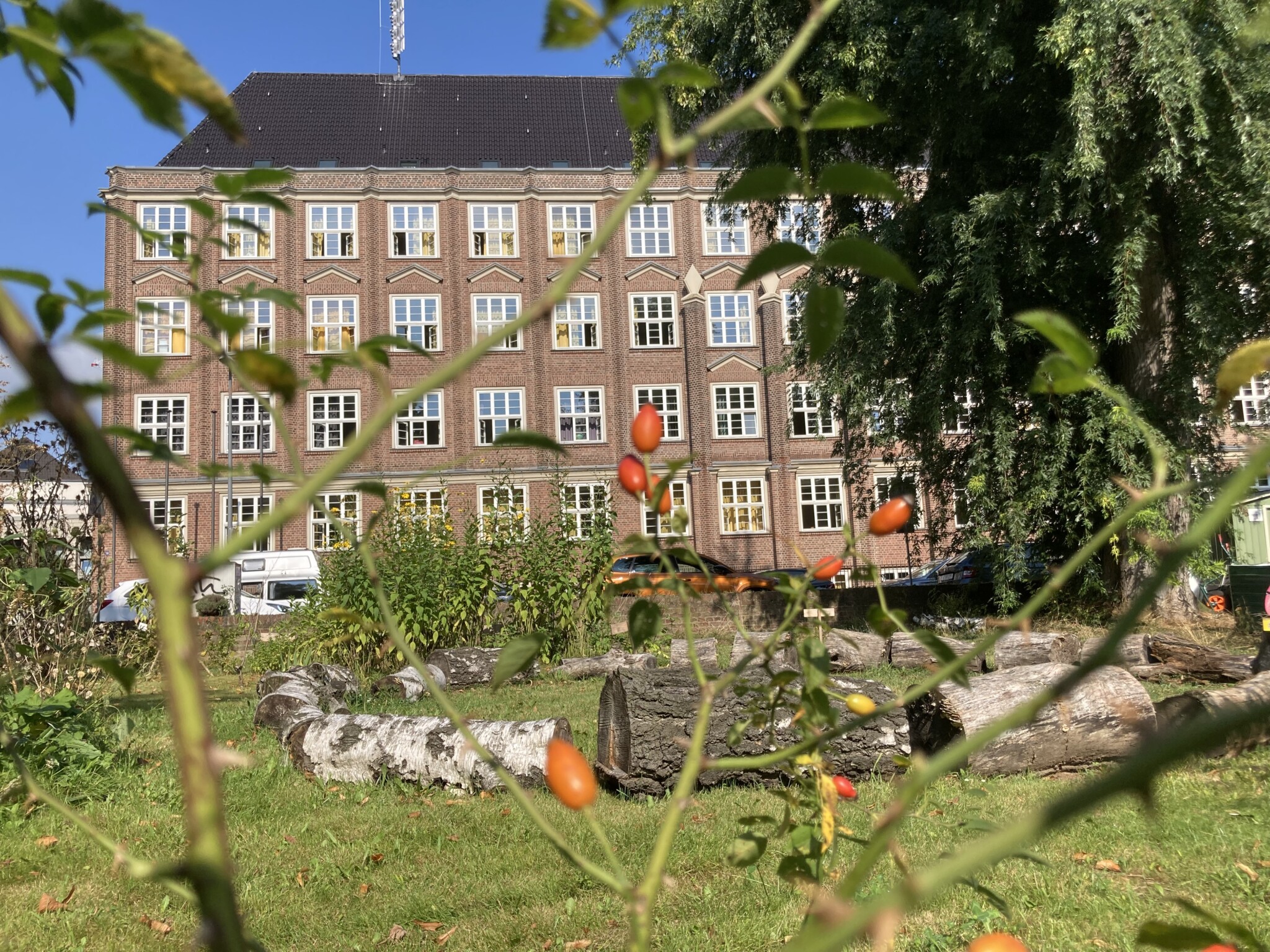 Schulgarten Theodor Heuss Realschule Köln