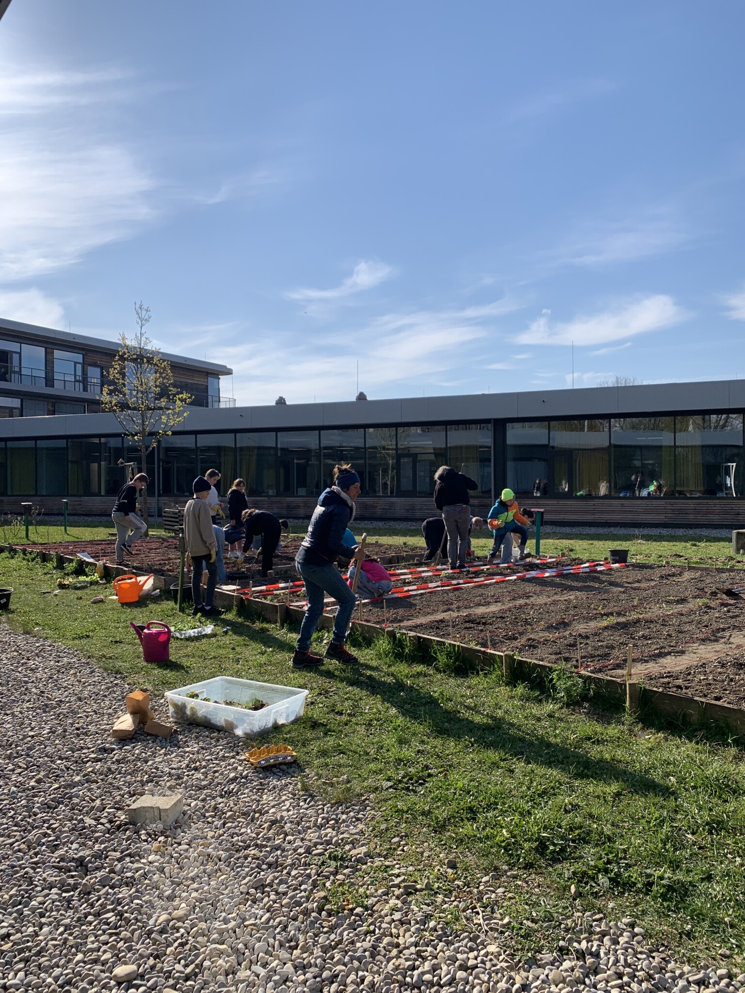 Ein Kräuterbeet für unseren Schulgarten