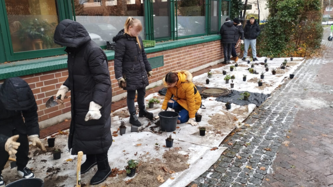 Wir legen ein Trockenstaudenbeet an