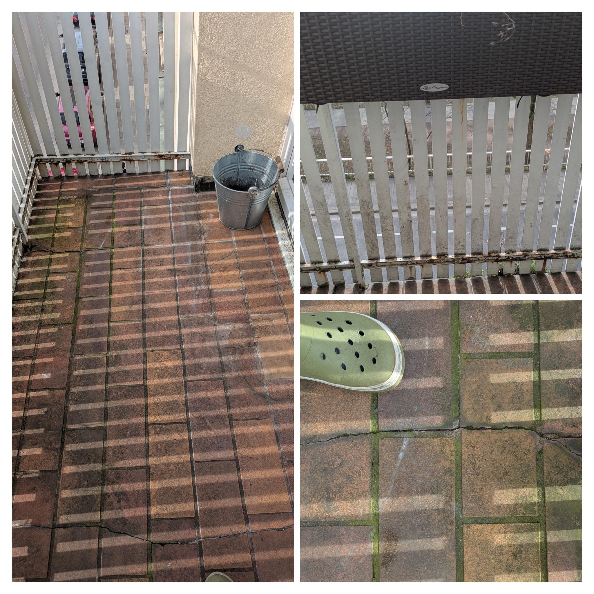 Unser insektenfreundlicher Südwest Balkon