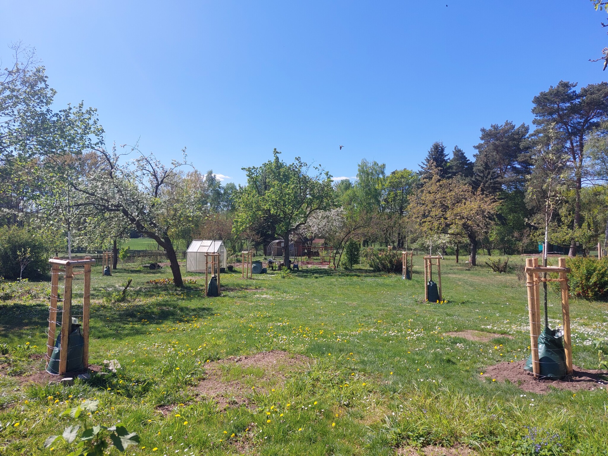 Artenvielfalt im WaldGarten erleben