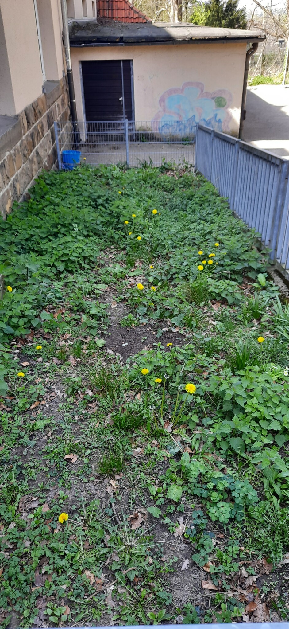 kleines Randbeet wartet