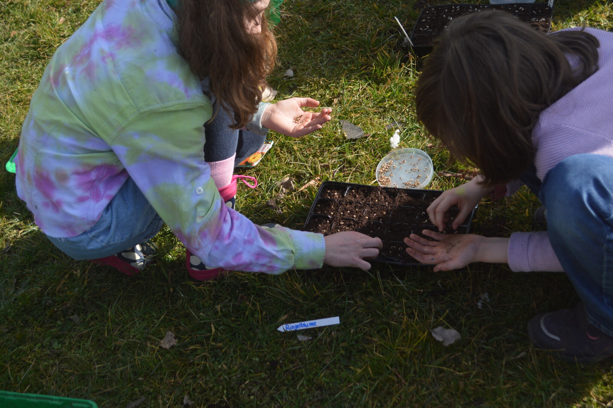 Kistengärtnern im Leihgarten
