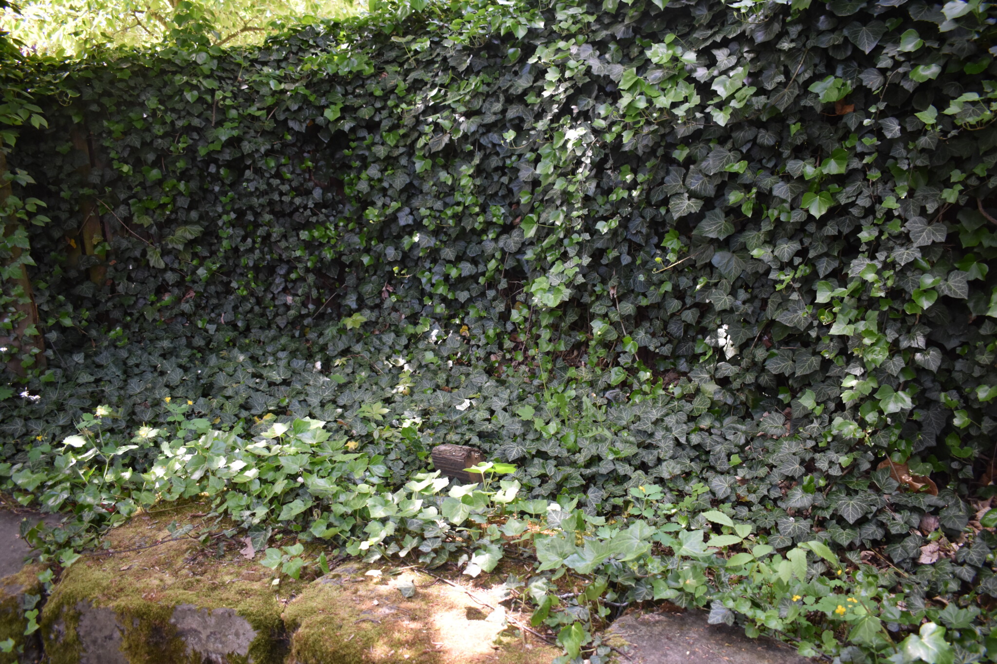 Gartenaktionstag in der AWO Kita Sylter Weg