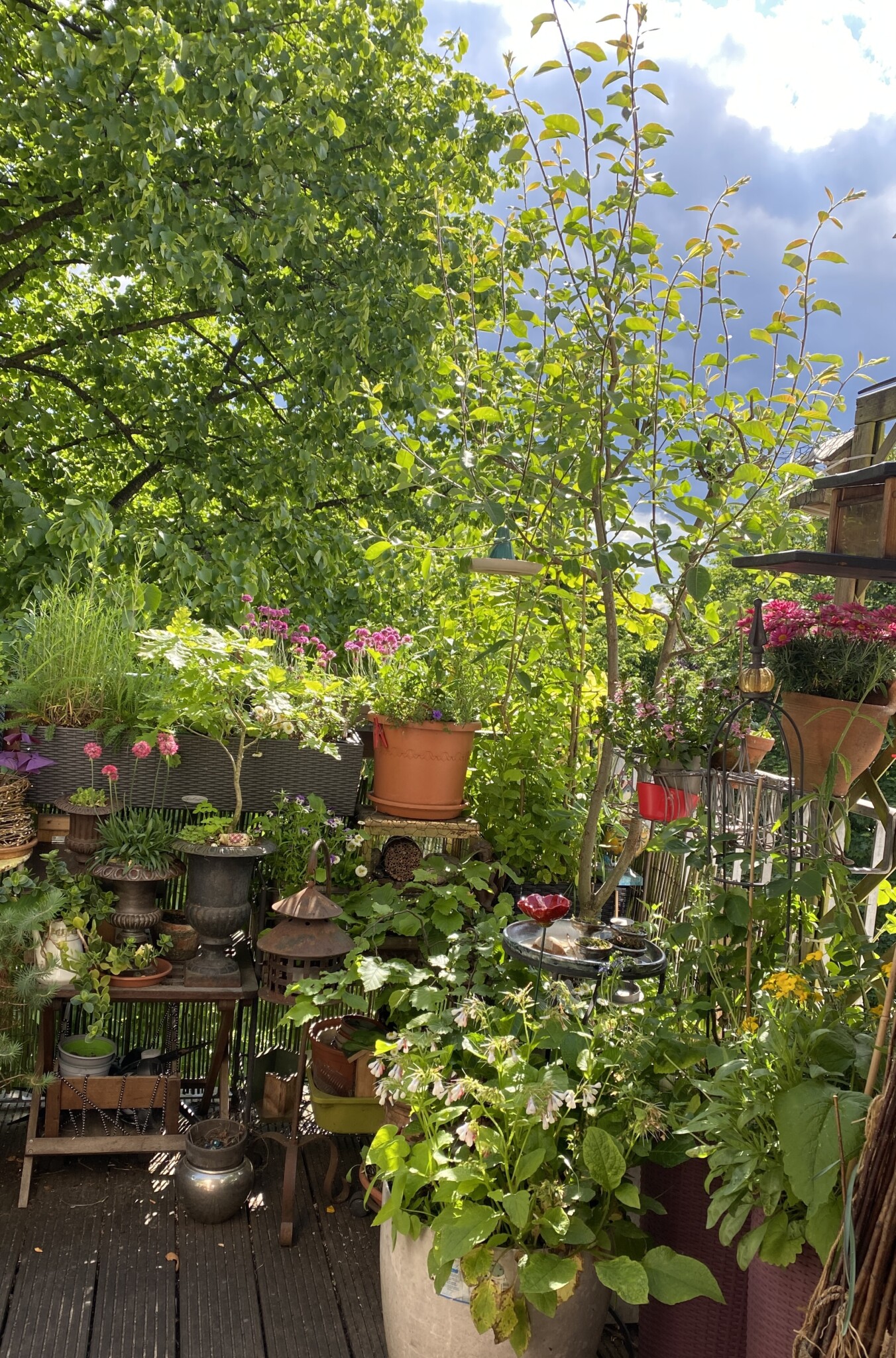 Meine kleine Blühbude