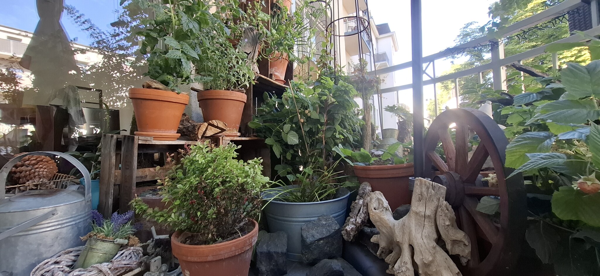 Tierfreundlicher Balkon