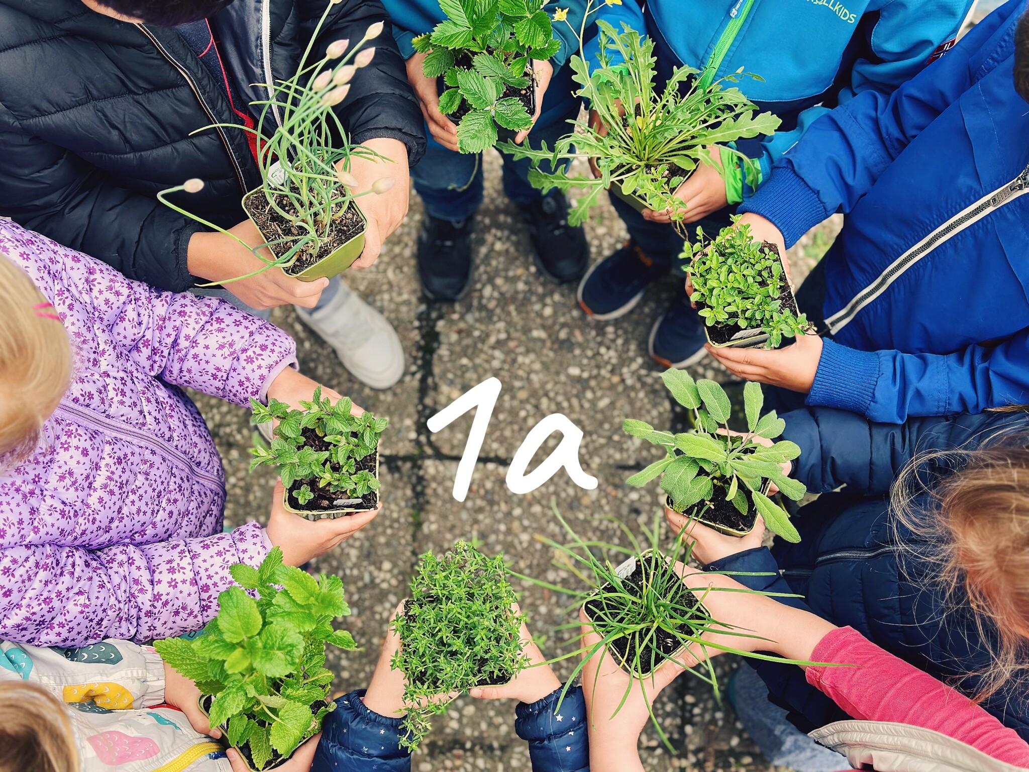 Wir entdecken die Natur