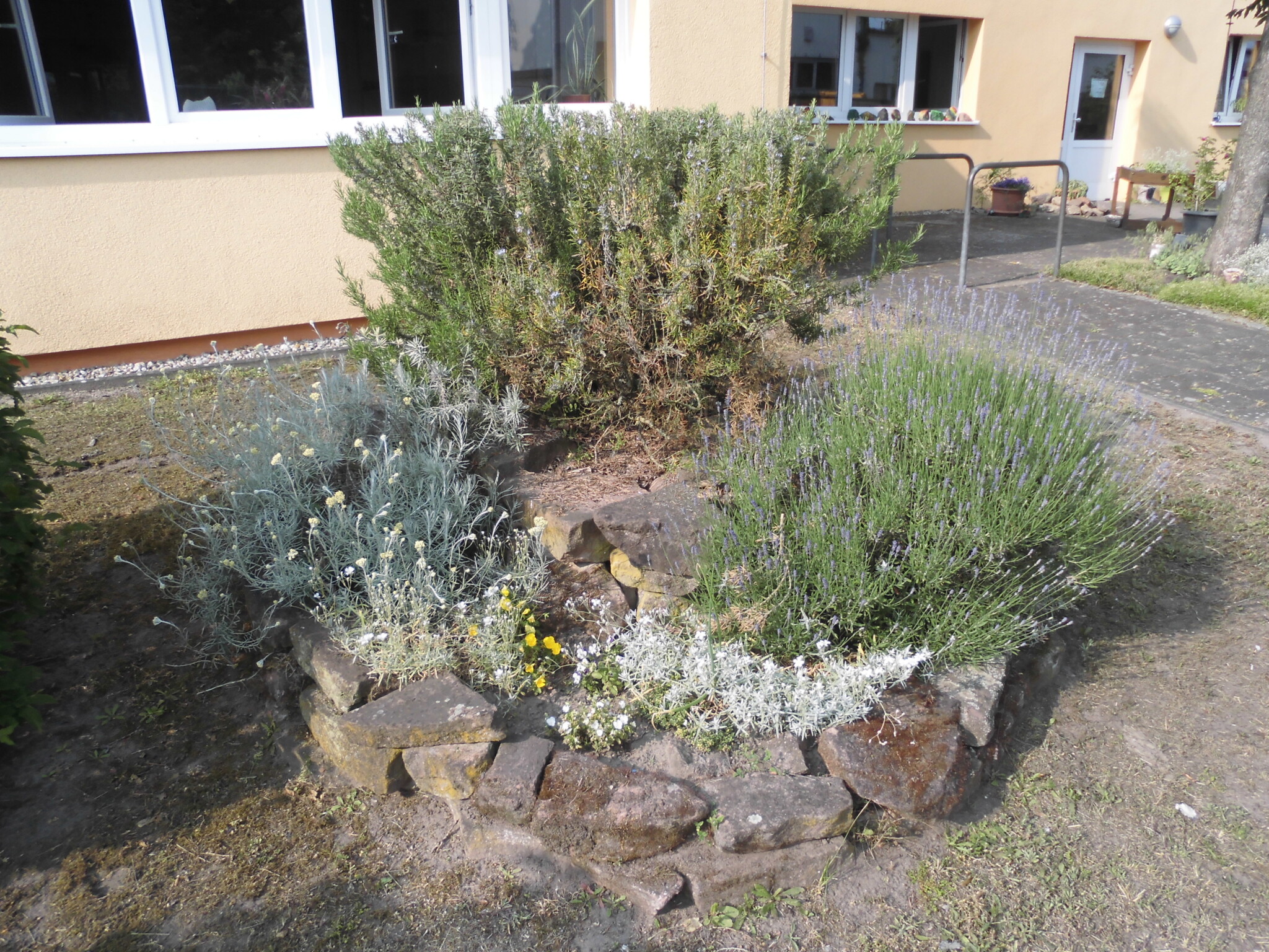 Unsere Kräuterschnecke in der „Entdeckerhöhle“ jetzt wird es Bunt Projektidee: Umgestaltung unserer Kräuterschnecke im Sinne der Kneipp-Pädagogik