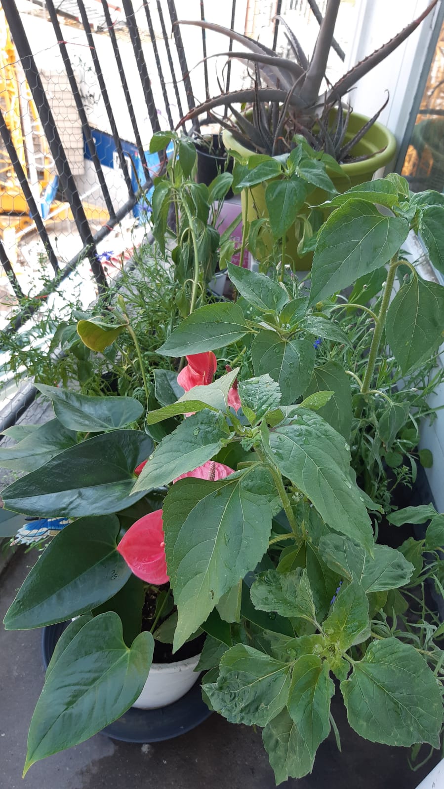 Transformation und Wirkung