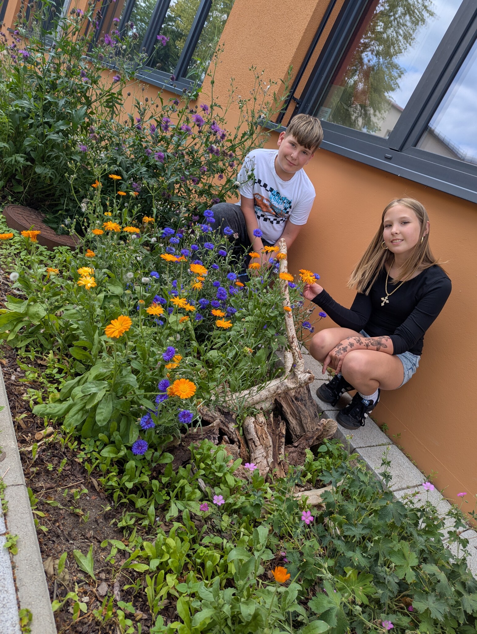 von Unfreundlich zu Insektenfreundlich – unser Beet-Projekt in Stralendorf