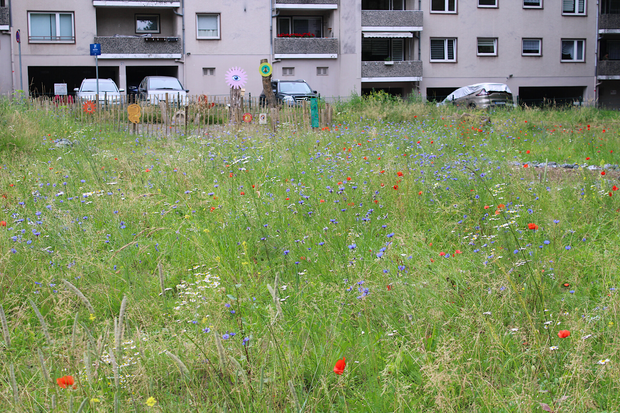 MehrArtenRäume Solingen
