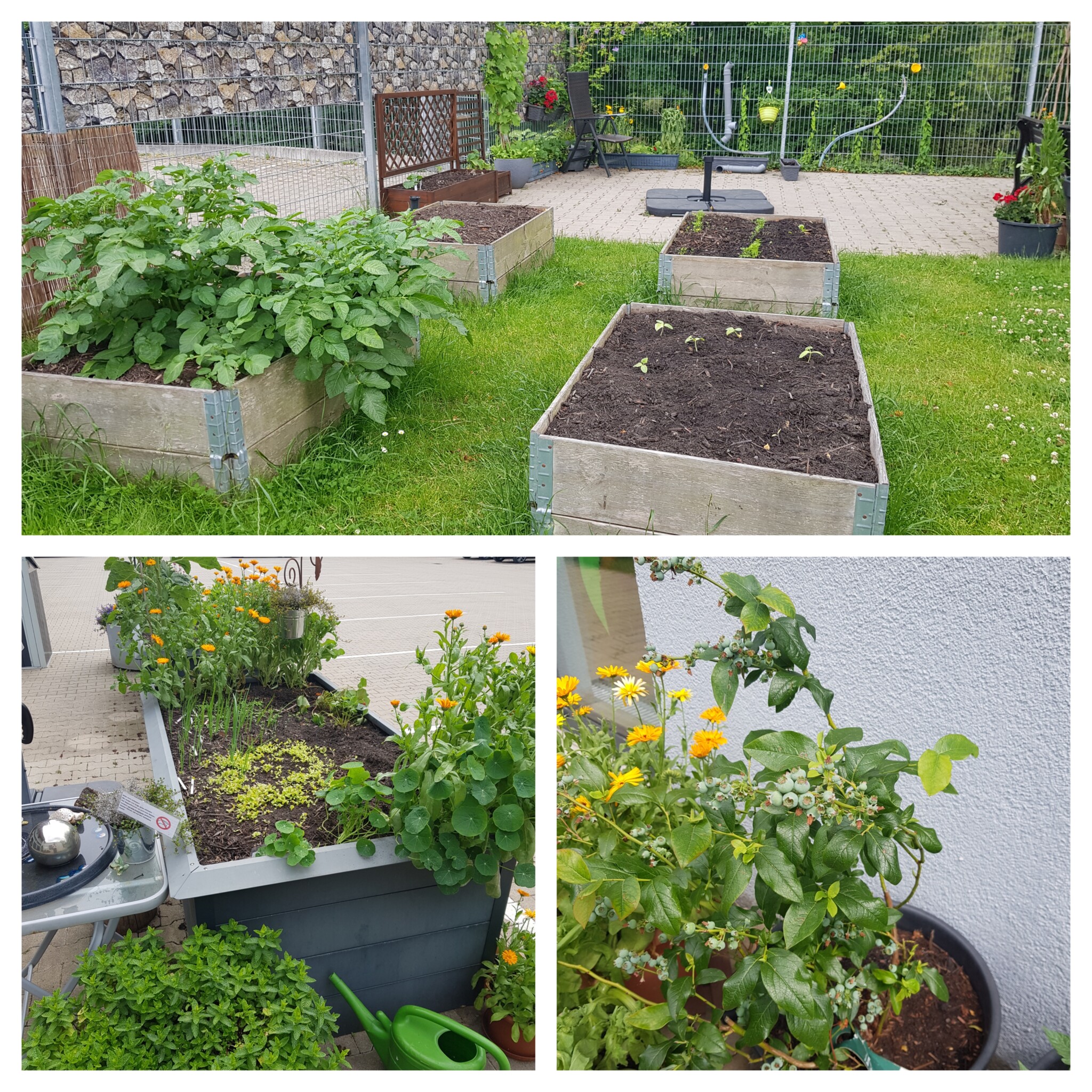 Im Hohenlimburger „Purzelbaum“ krabbelt, fliegt und summt es!