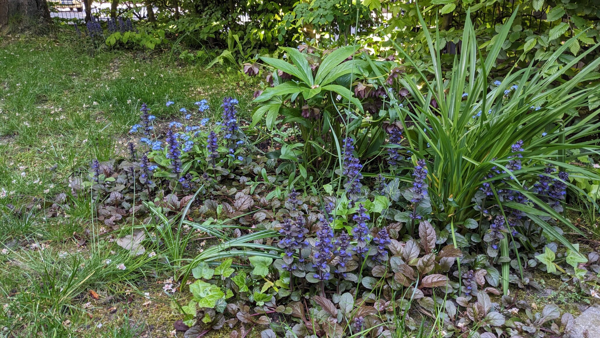 Rocket Beans Gärten