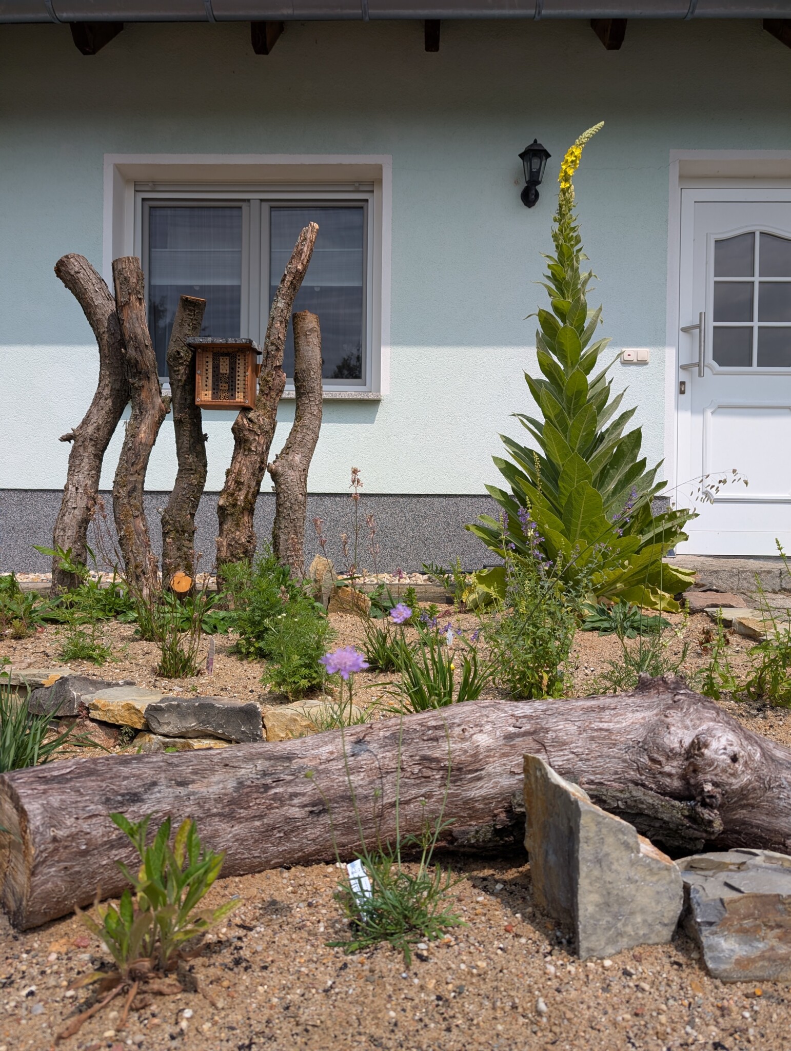 Köni, die Trockenmauer und das Magerbeet