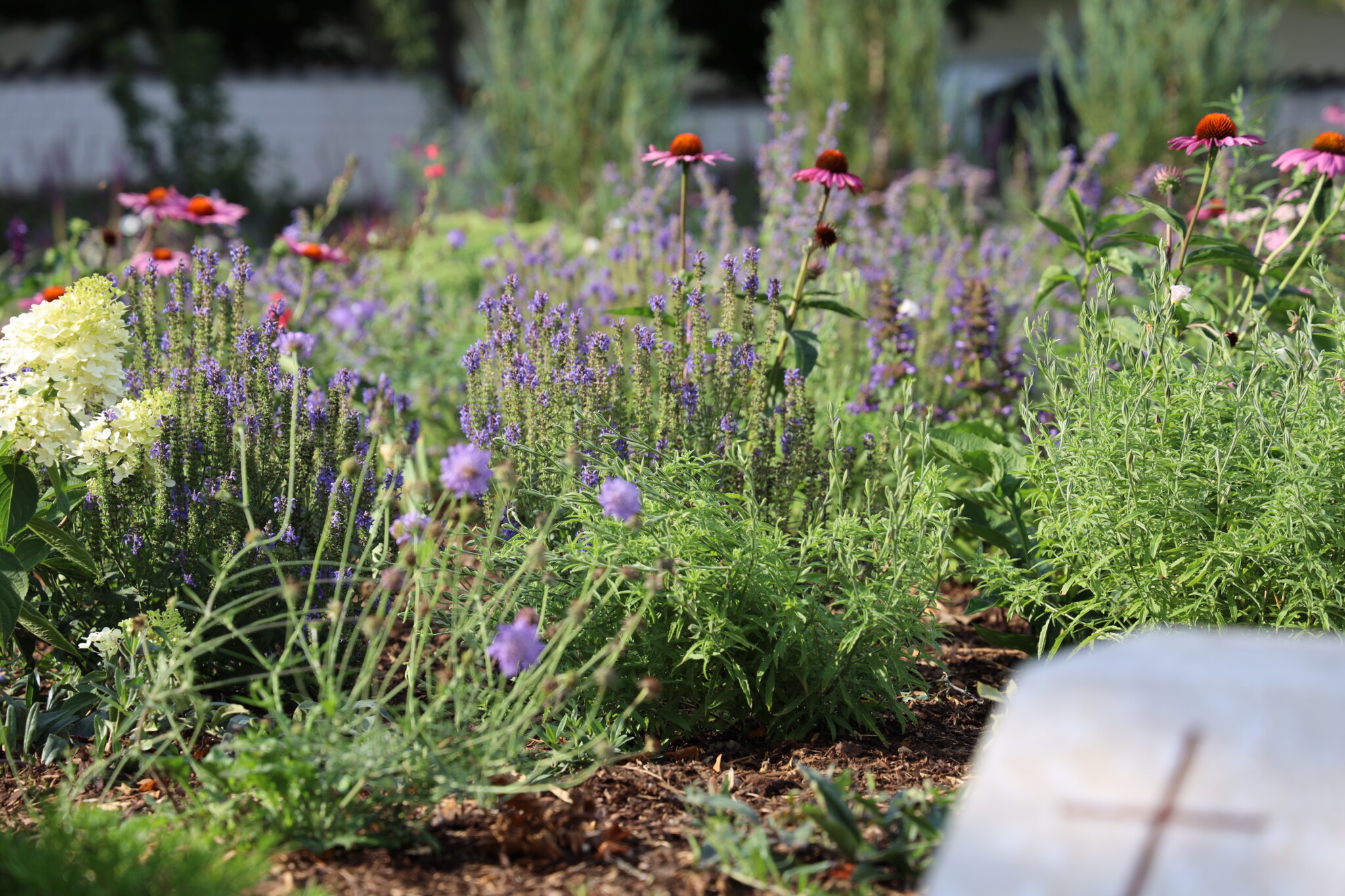 Erinnerungsweg: bienenfreundliche Gestaltung einer Urnengrabsektion