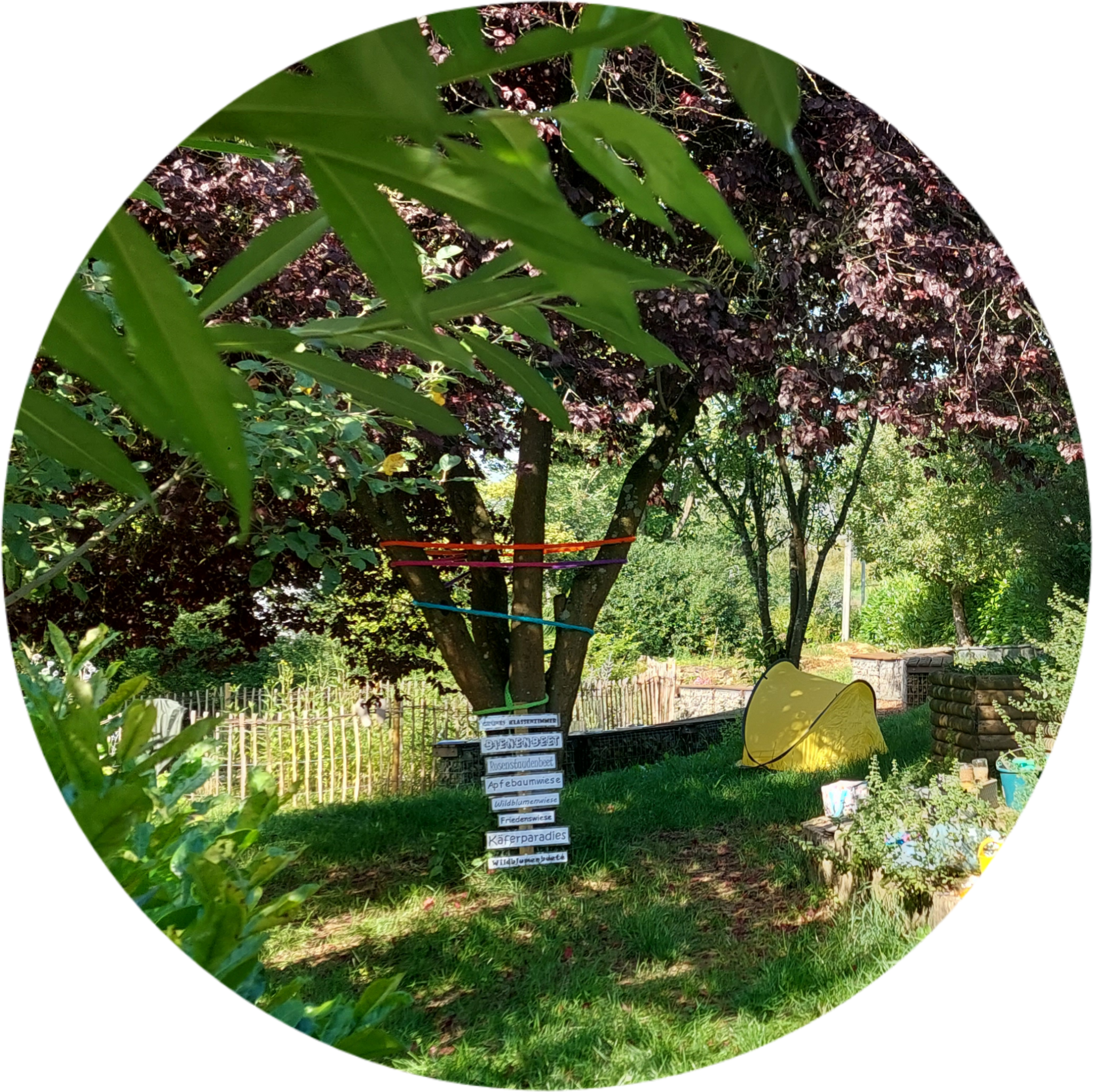 Ein Regenbogen für mehr ArtenVIELfalt