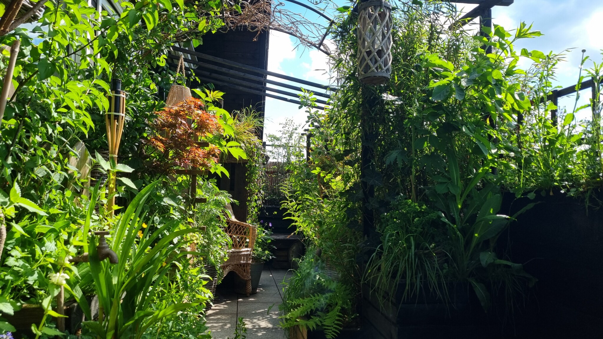 Wildes Balkongärtchen – bummeln mit Hummeln