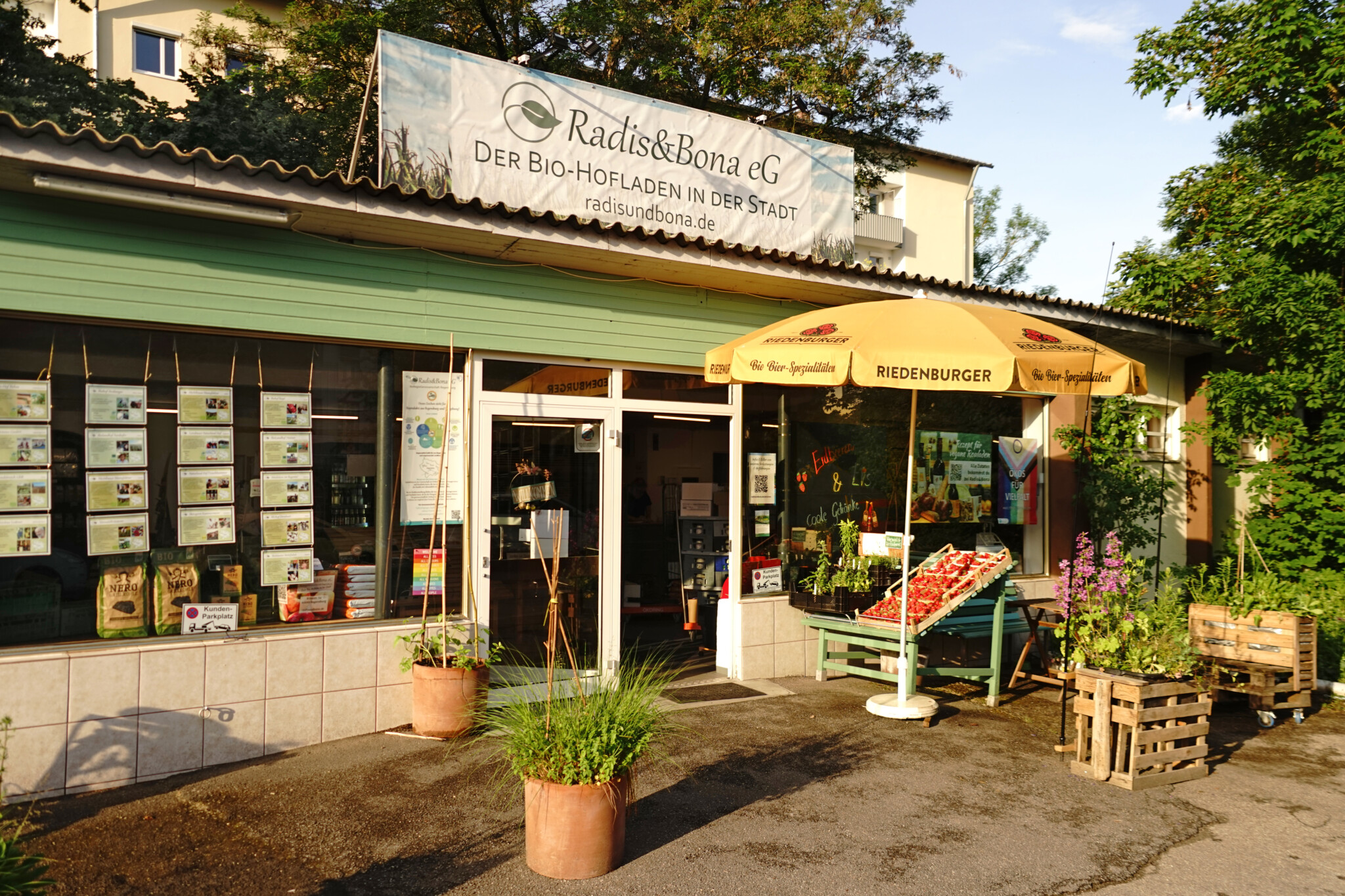 Der Radis und Bona-Bio-Genossenschaftsladen summt