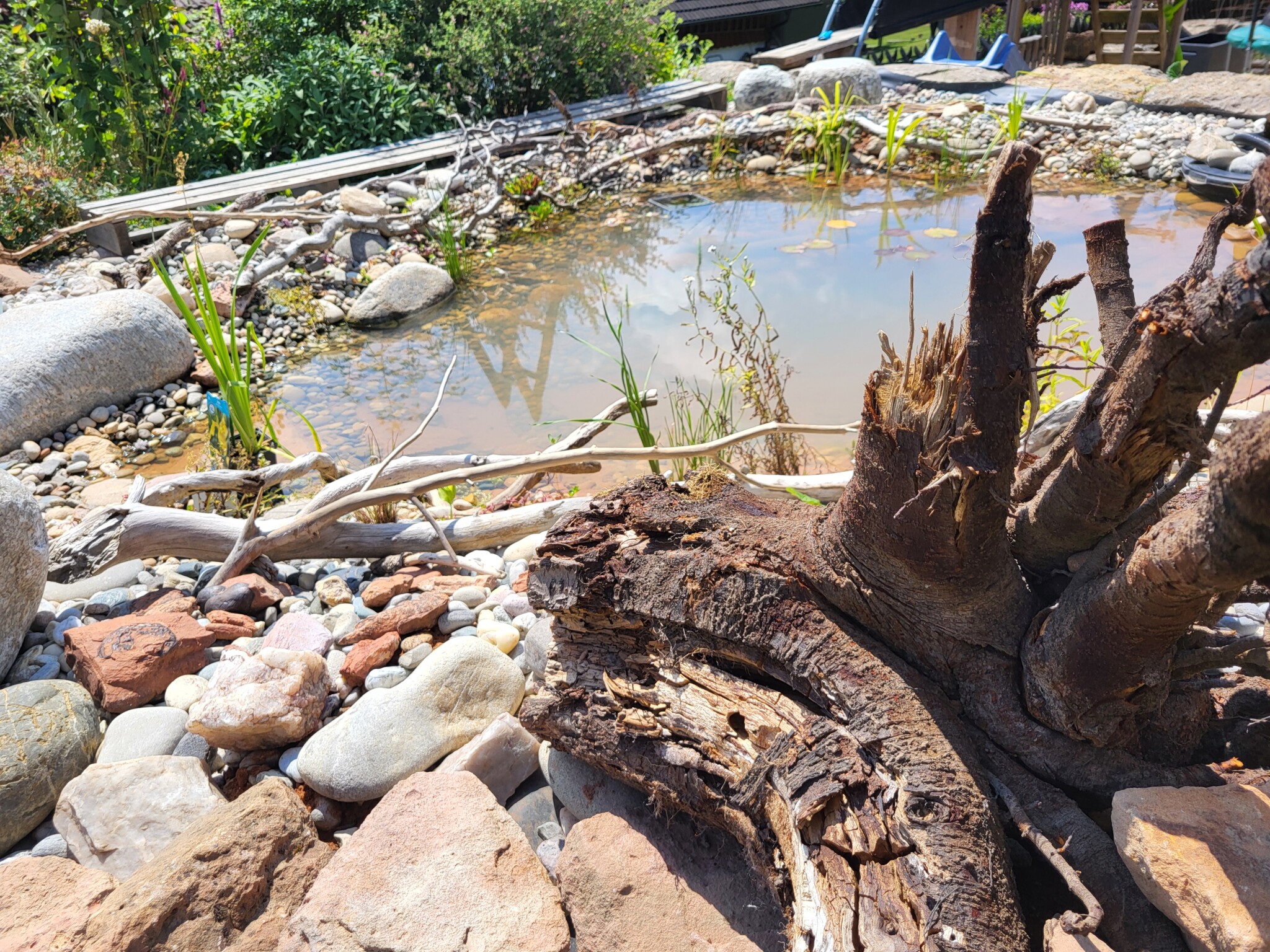 Mein wildes Wiesen bekommt einen Teich