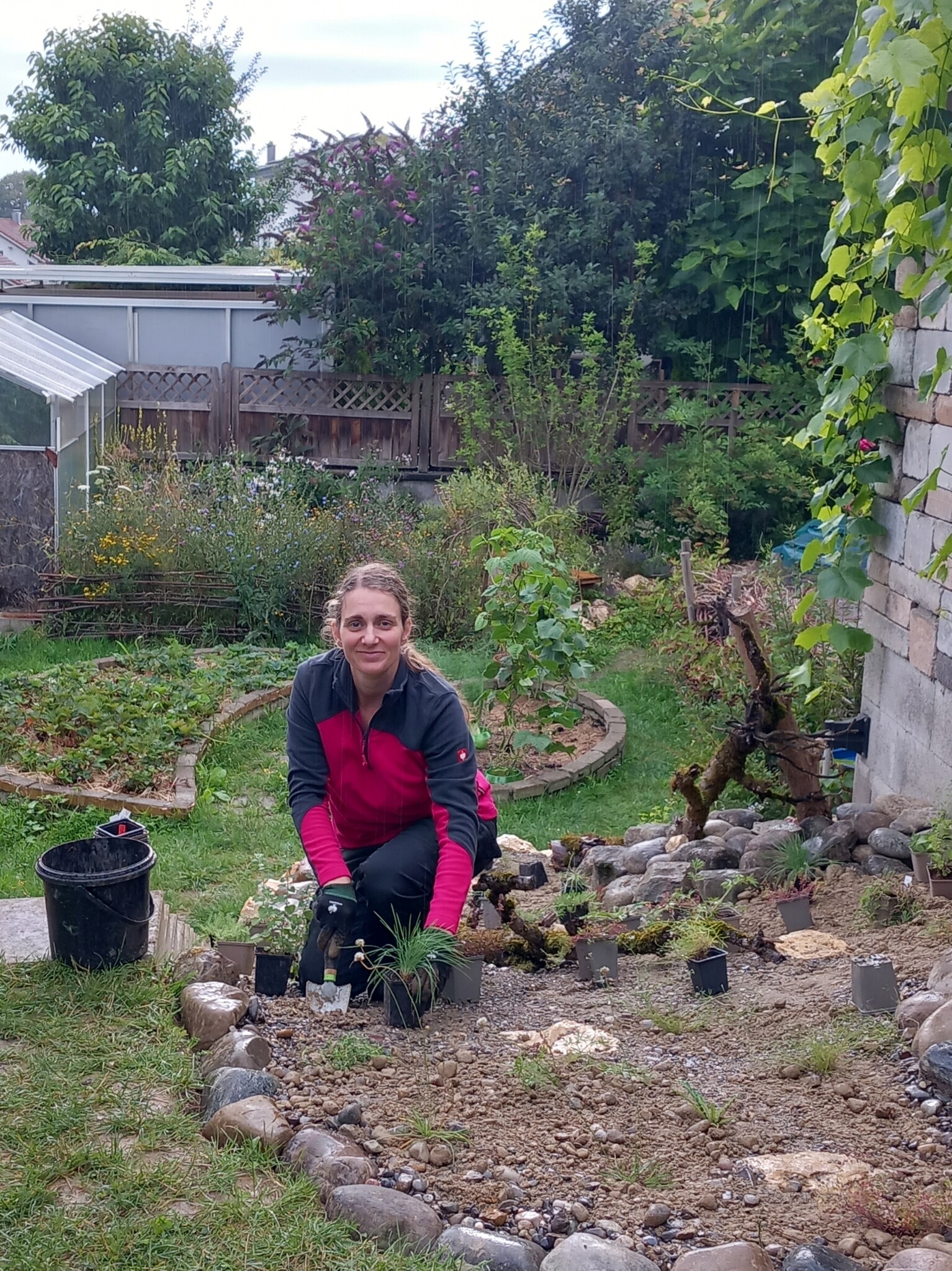 Blüten für Sandbienen
