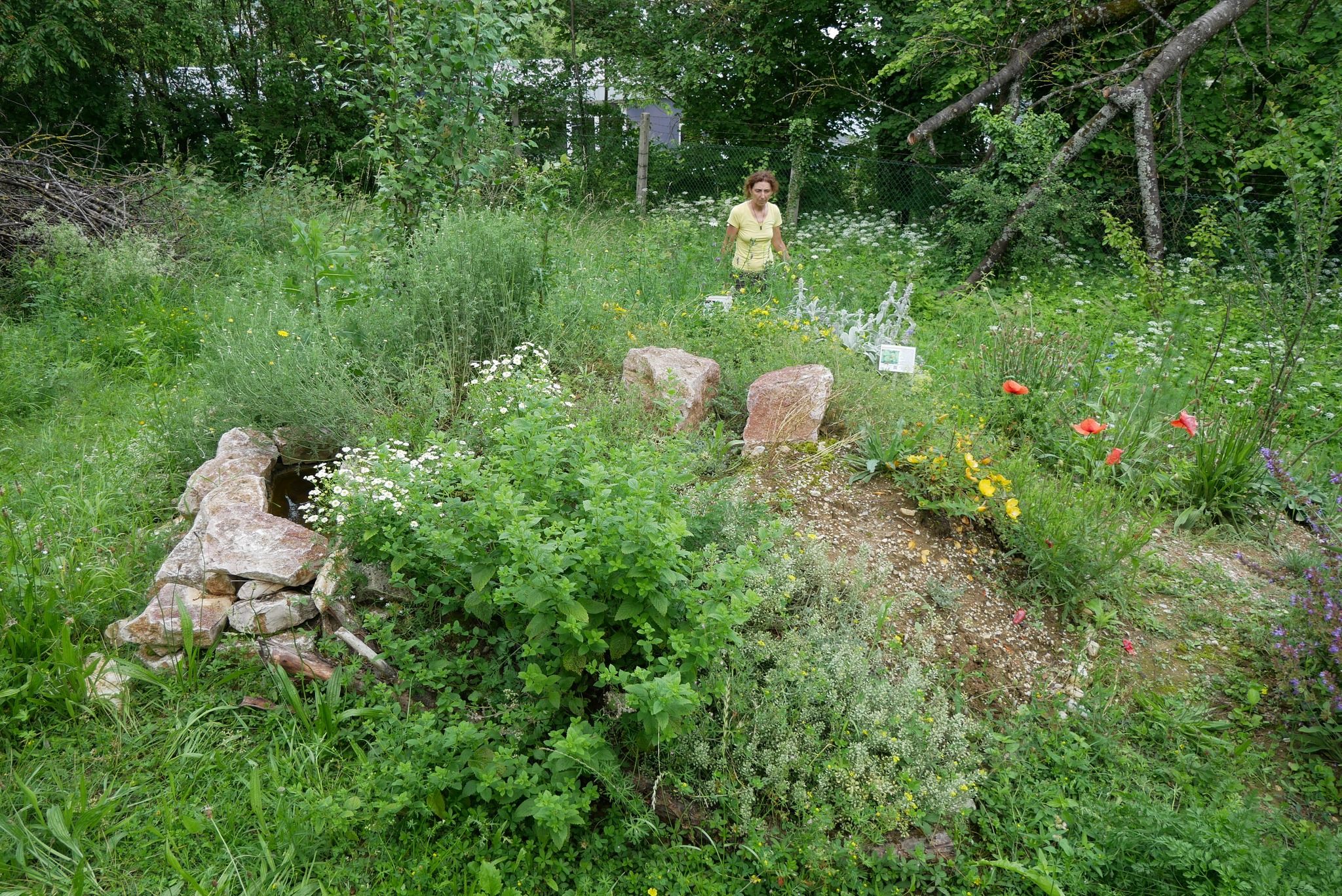 Umsetzung von Agenda 2030 Ziel 15.5